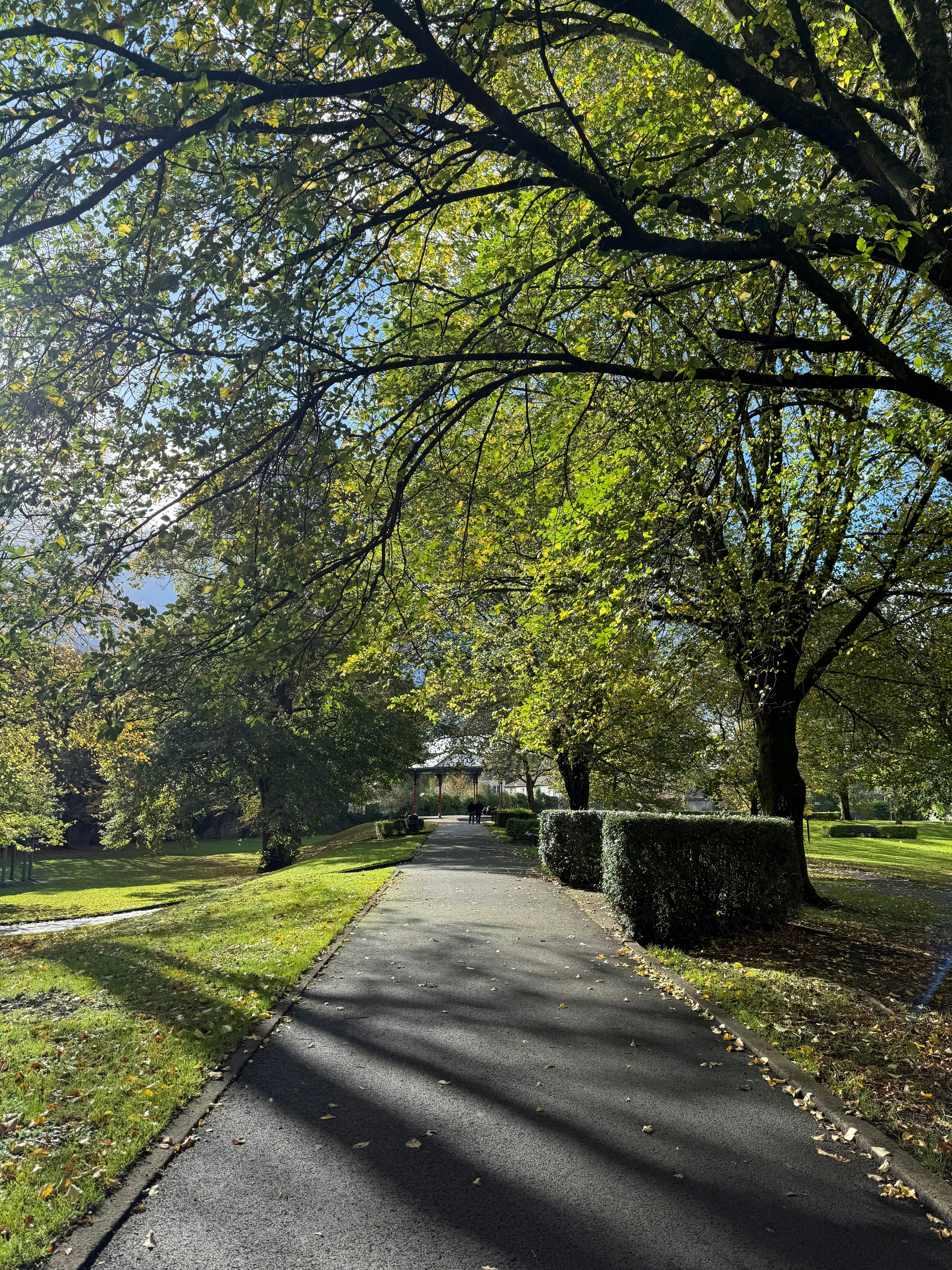 Photo by rahul_hari_das