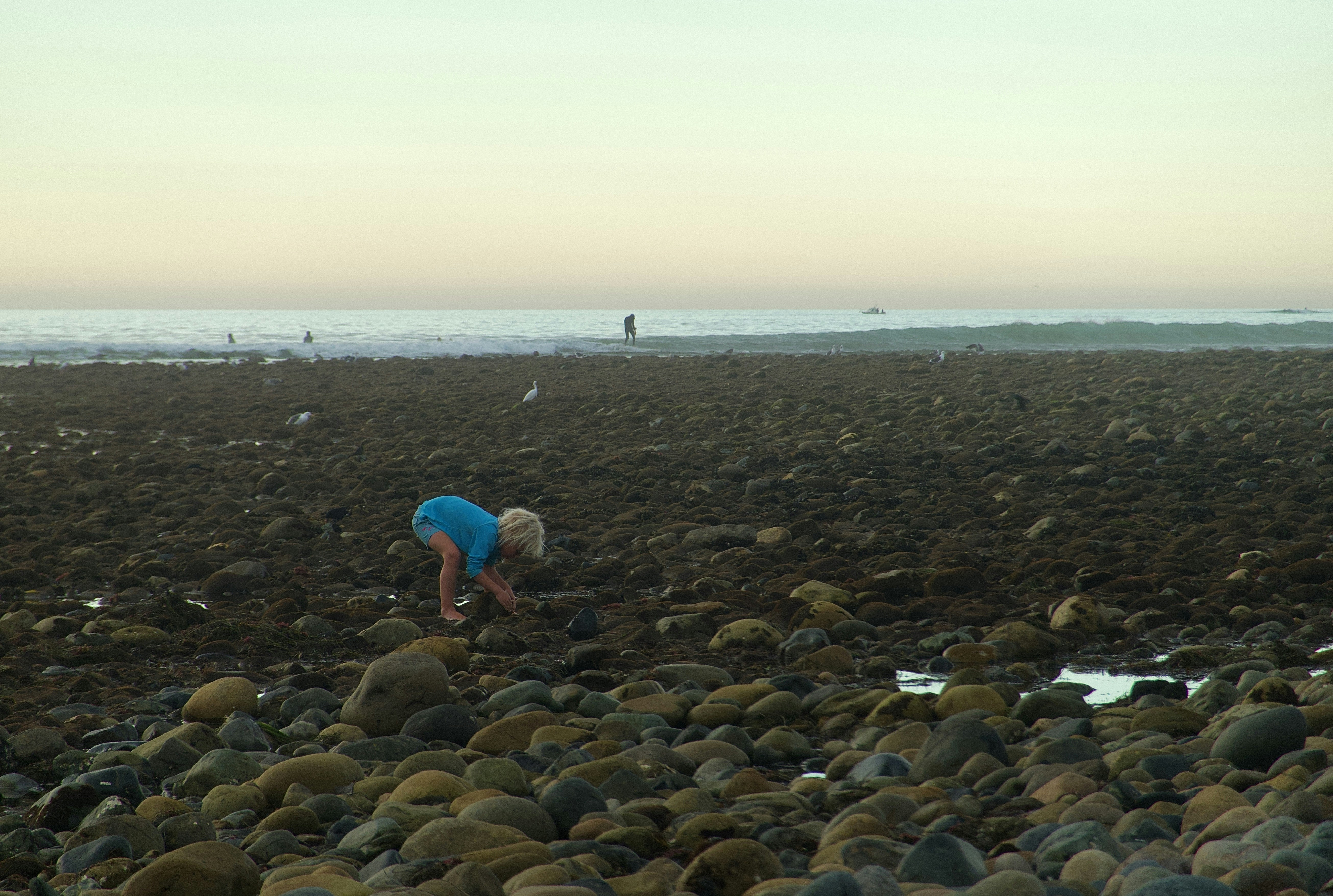 A person picking up rocks on a beach