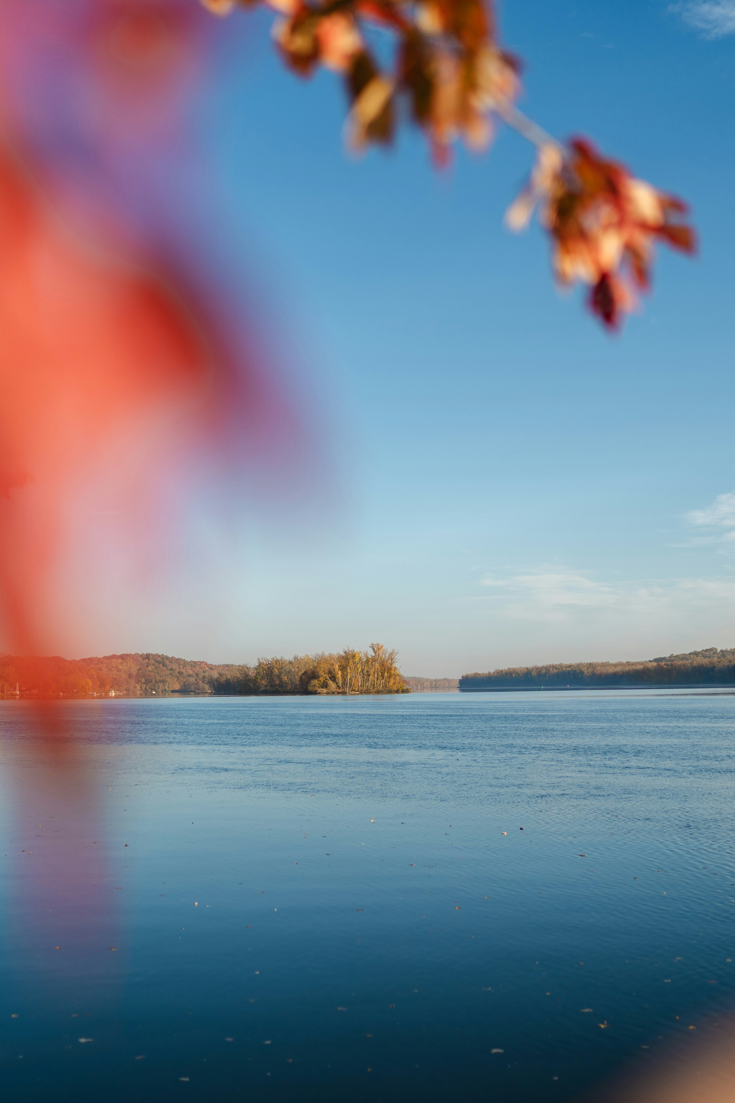 Un cuerpo de agua con árboles al fondo