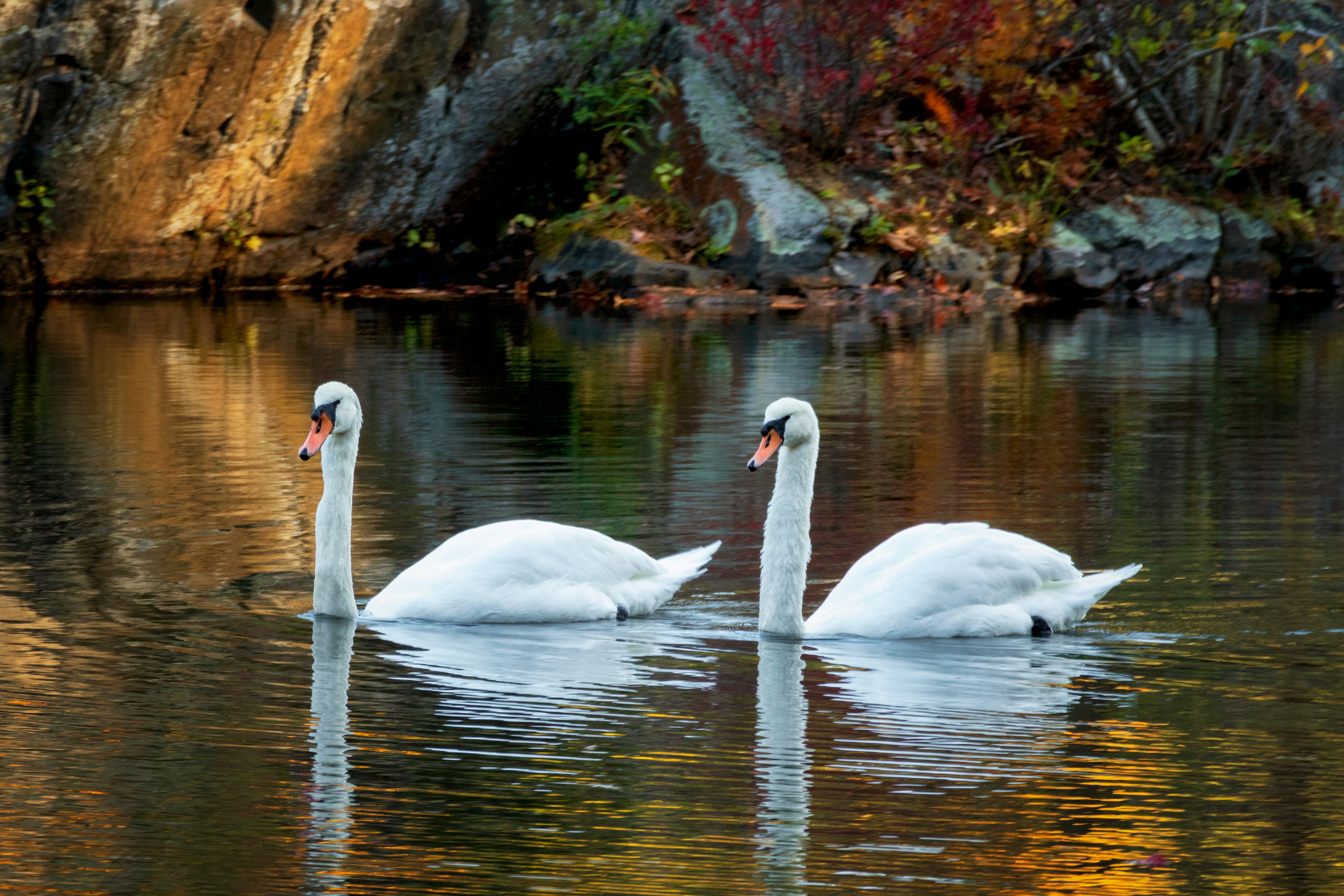 Photo by billb59
