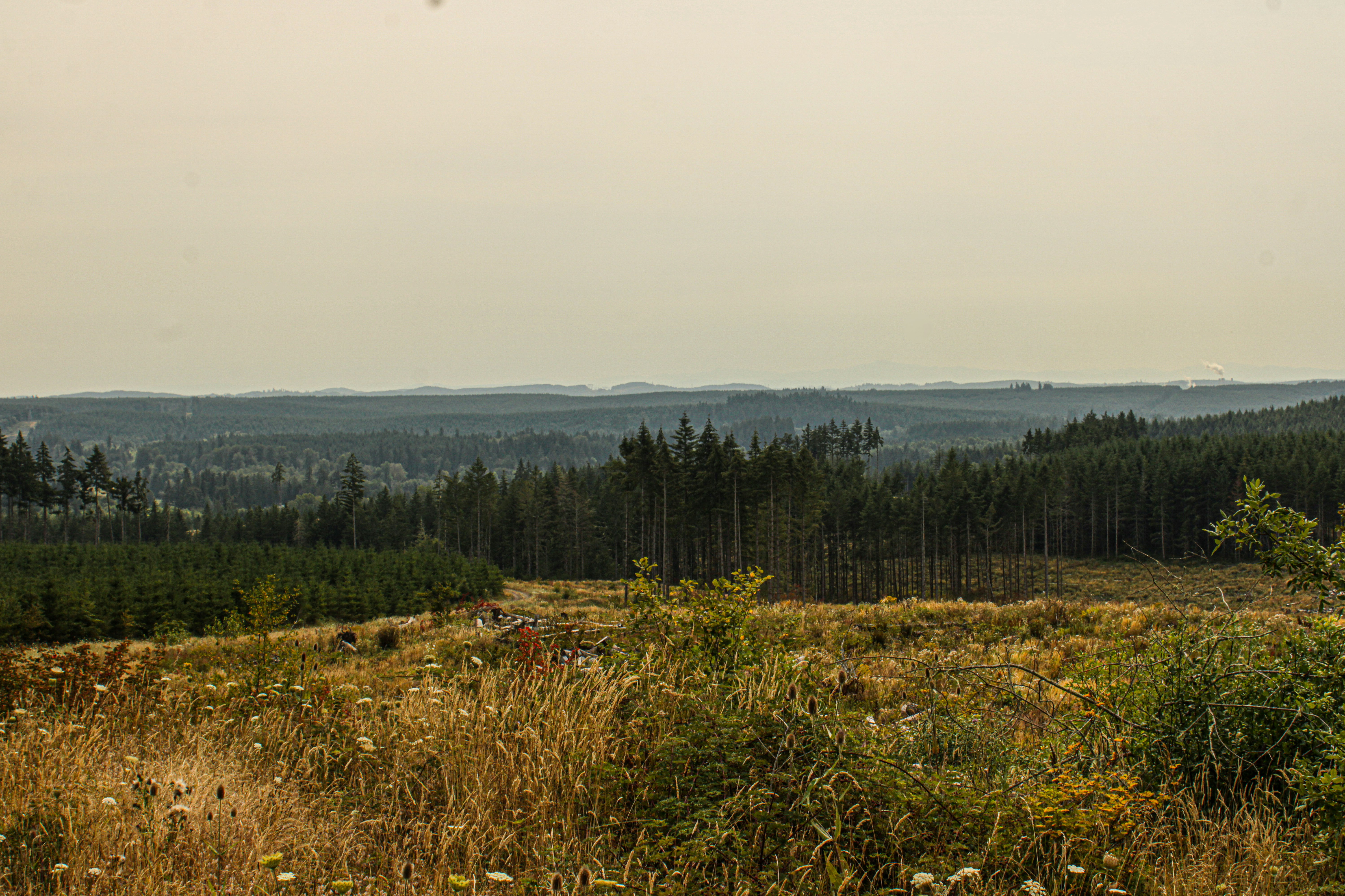 Photo by prphotography262