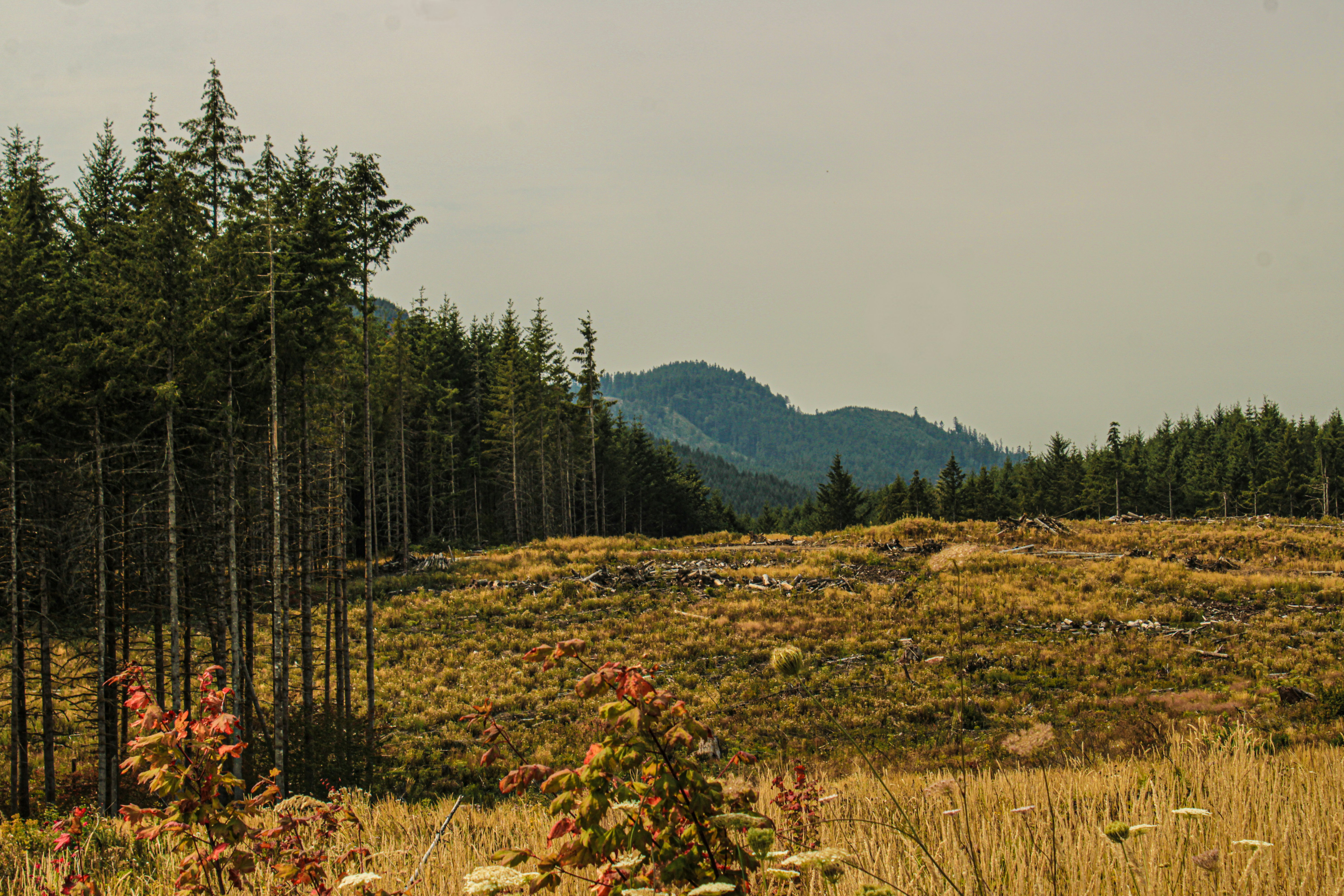 Photo by prphotography262