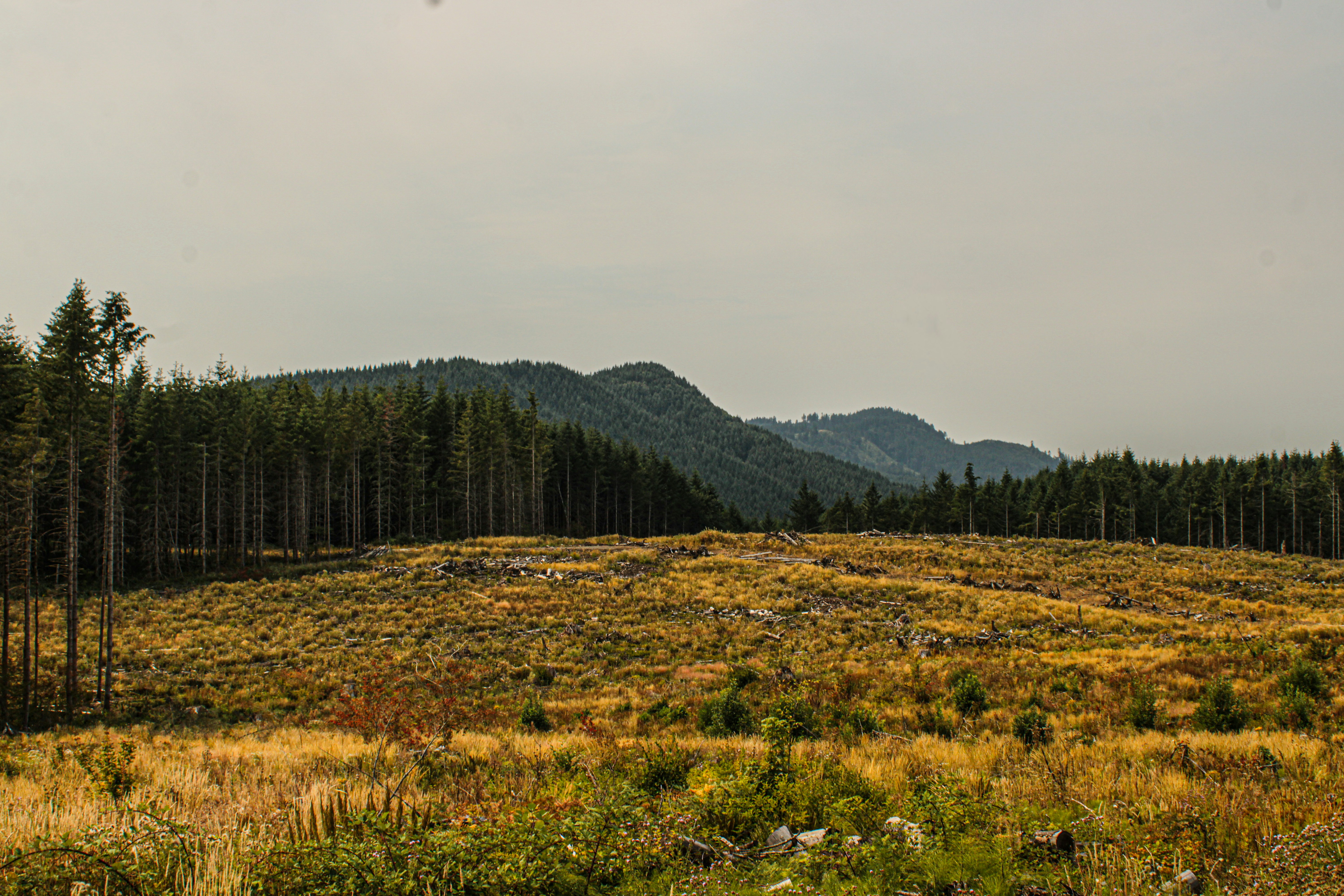 Photo by prphotography262