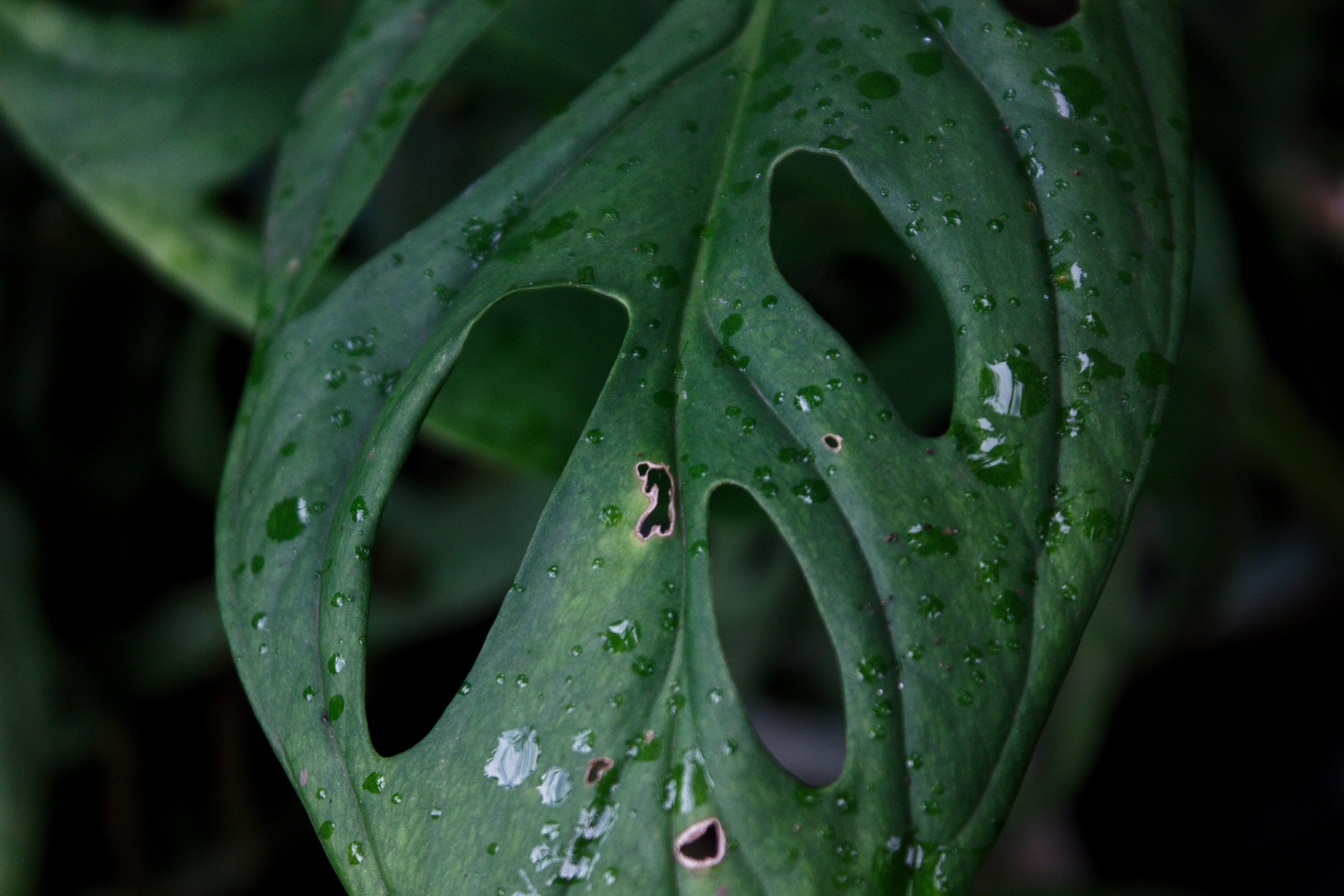 Photo by cindycreativeworks