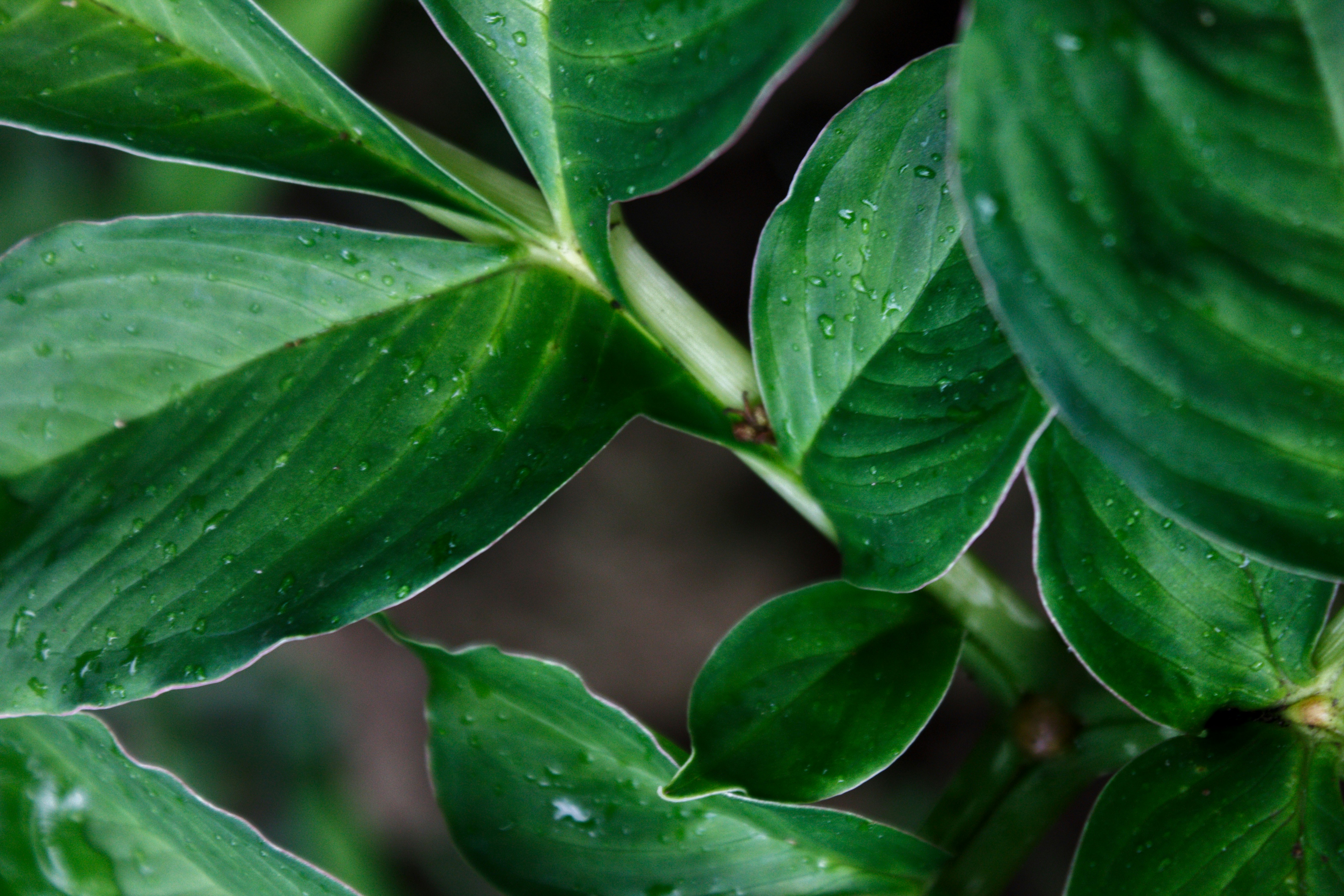 Photo by cindycreativeworks