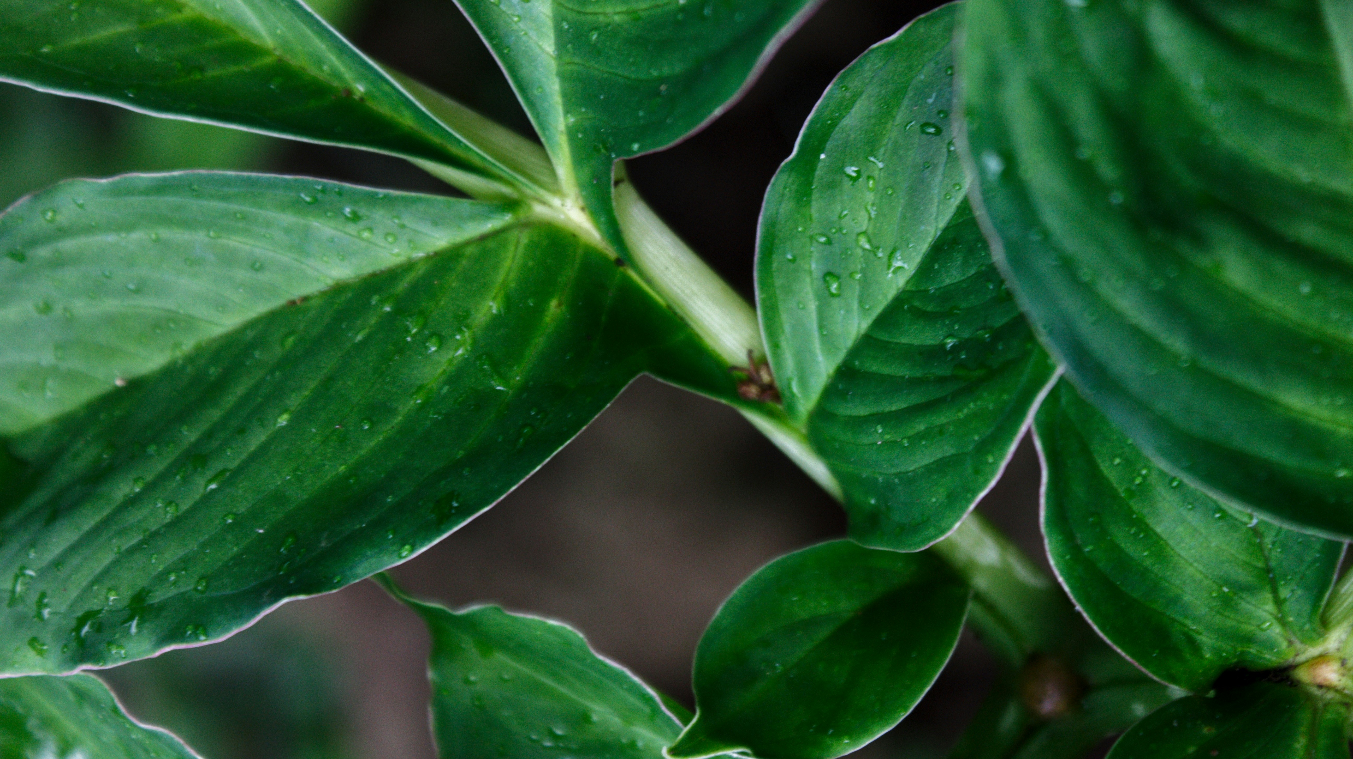 Photo by cindycreativeworks