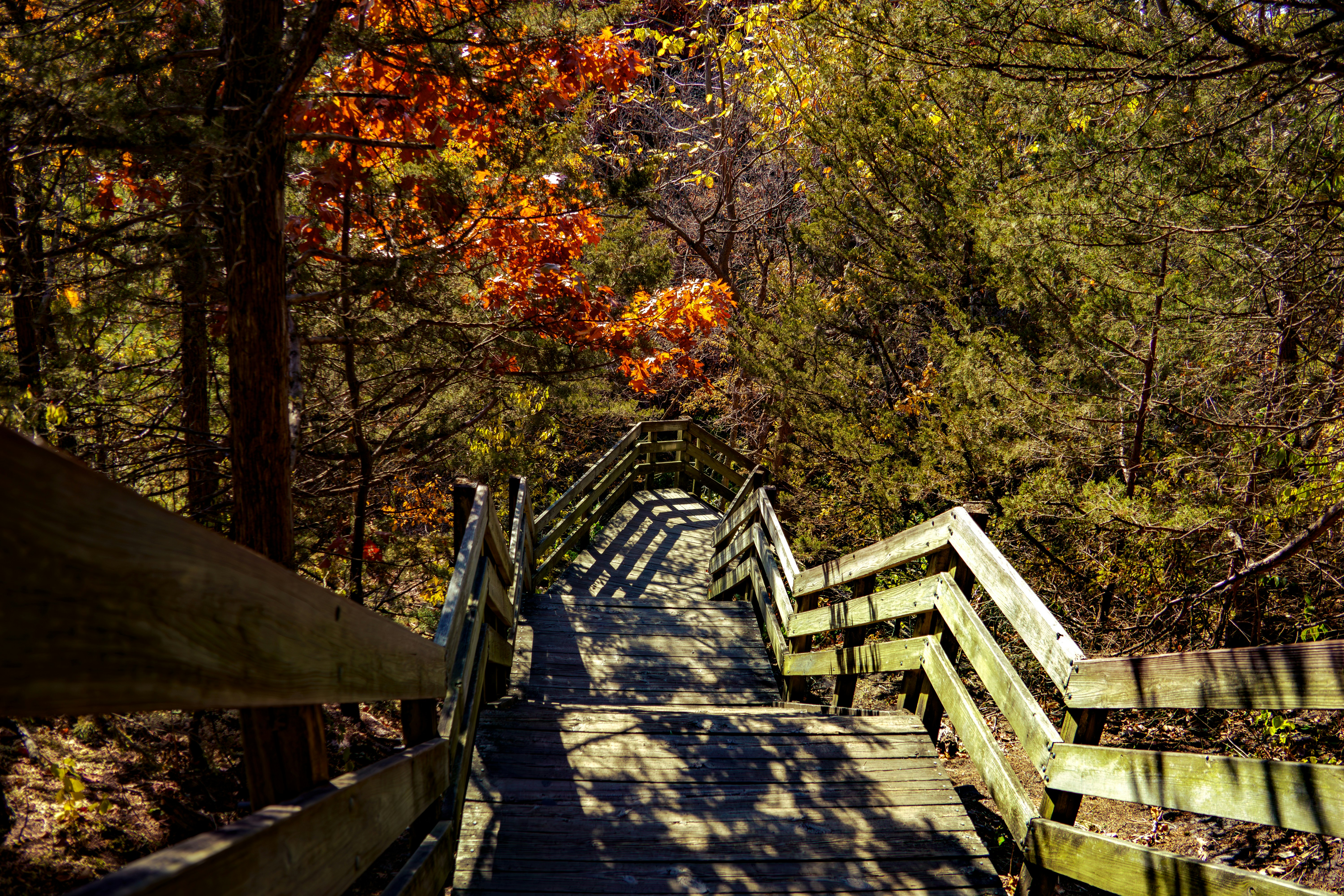 Photo by arcanephoto