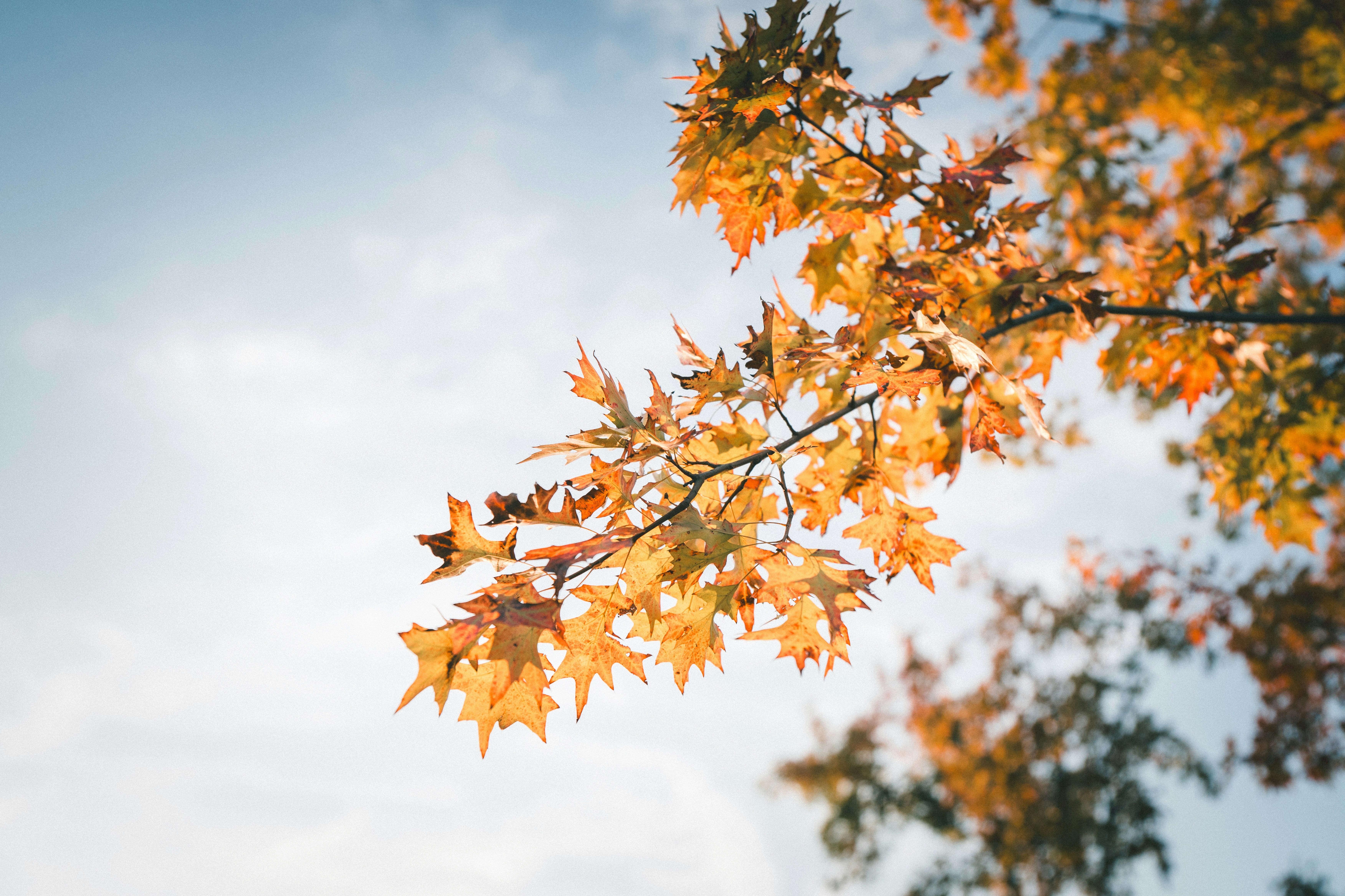 Photo by lightman0215