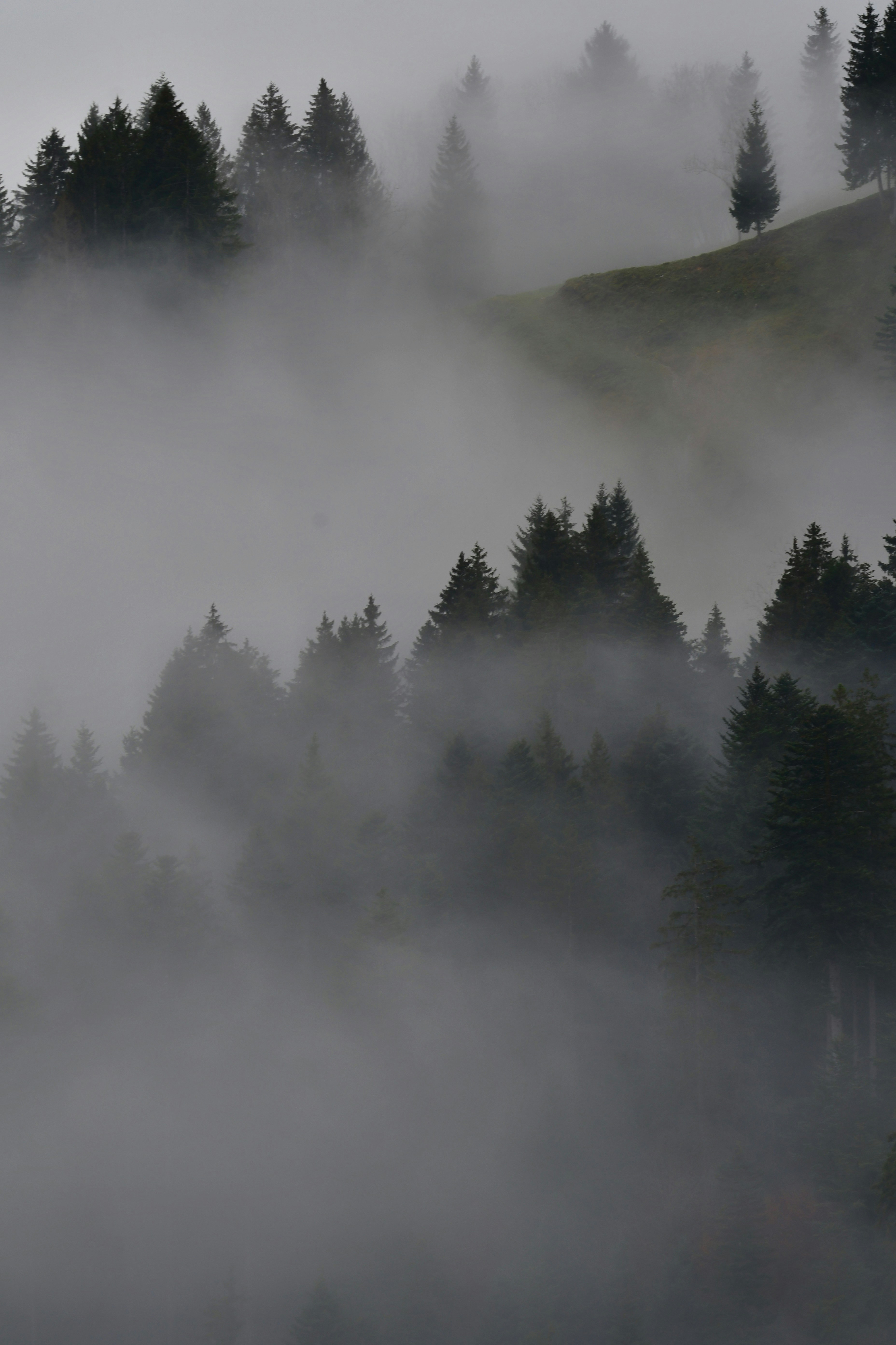 Photo by pedrino5_official