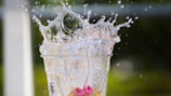 A glass filled with water and a pink flower