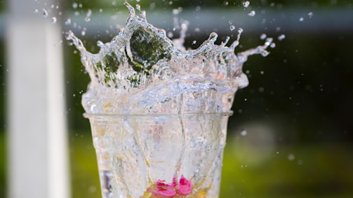 A glass filled with water and a pink flower