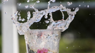 A glass filled with water and a pink flower