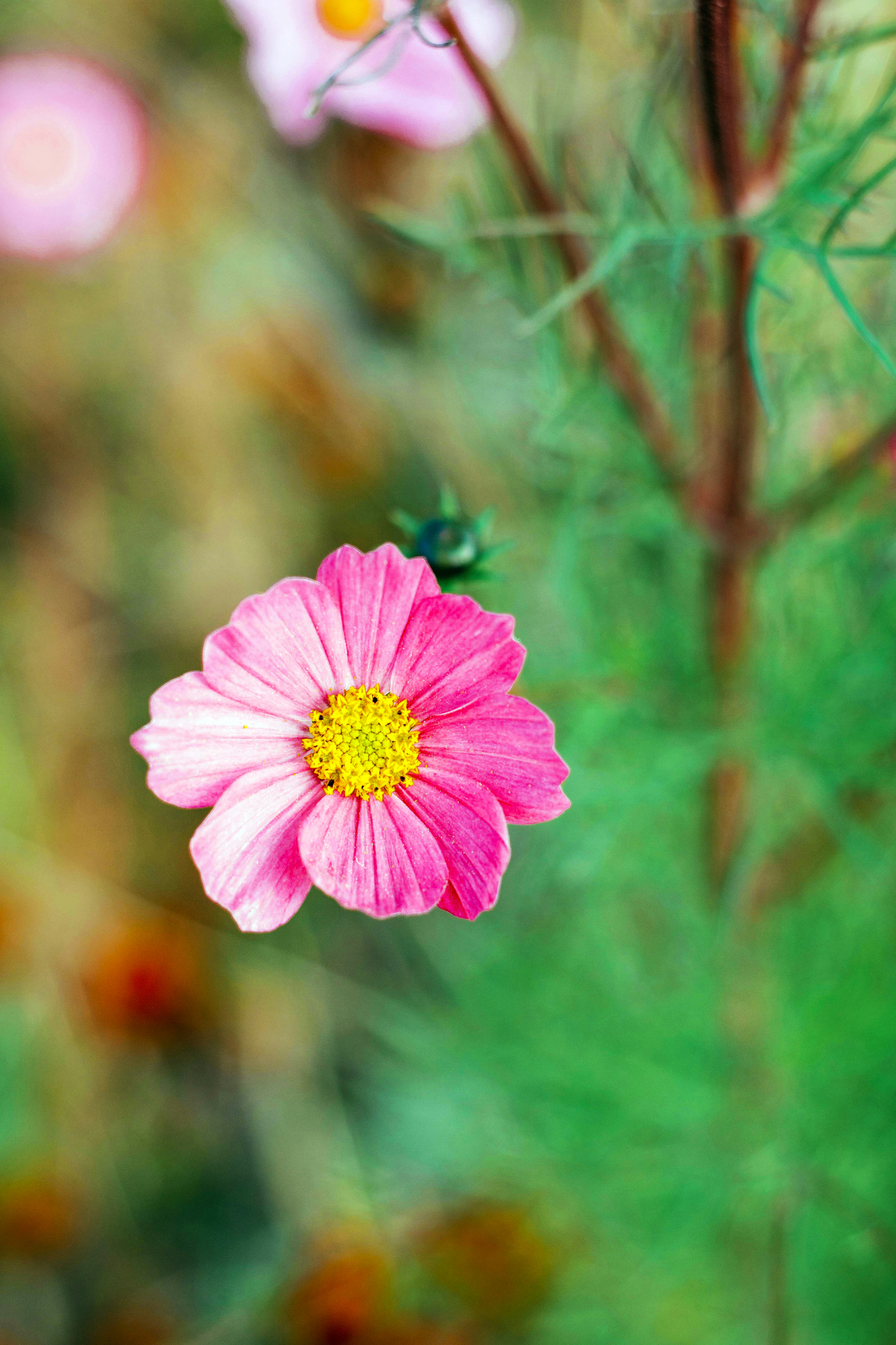 Photo by aks_by_aamir