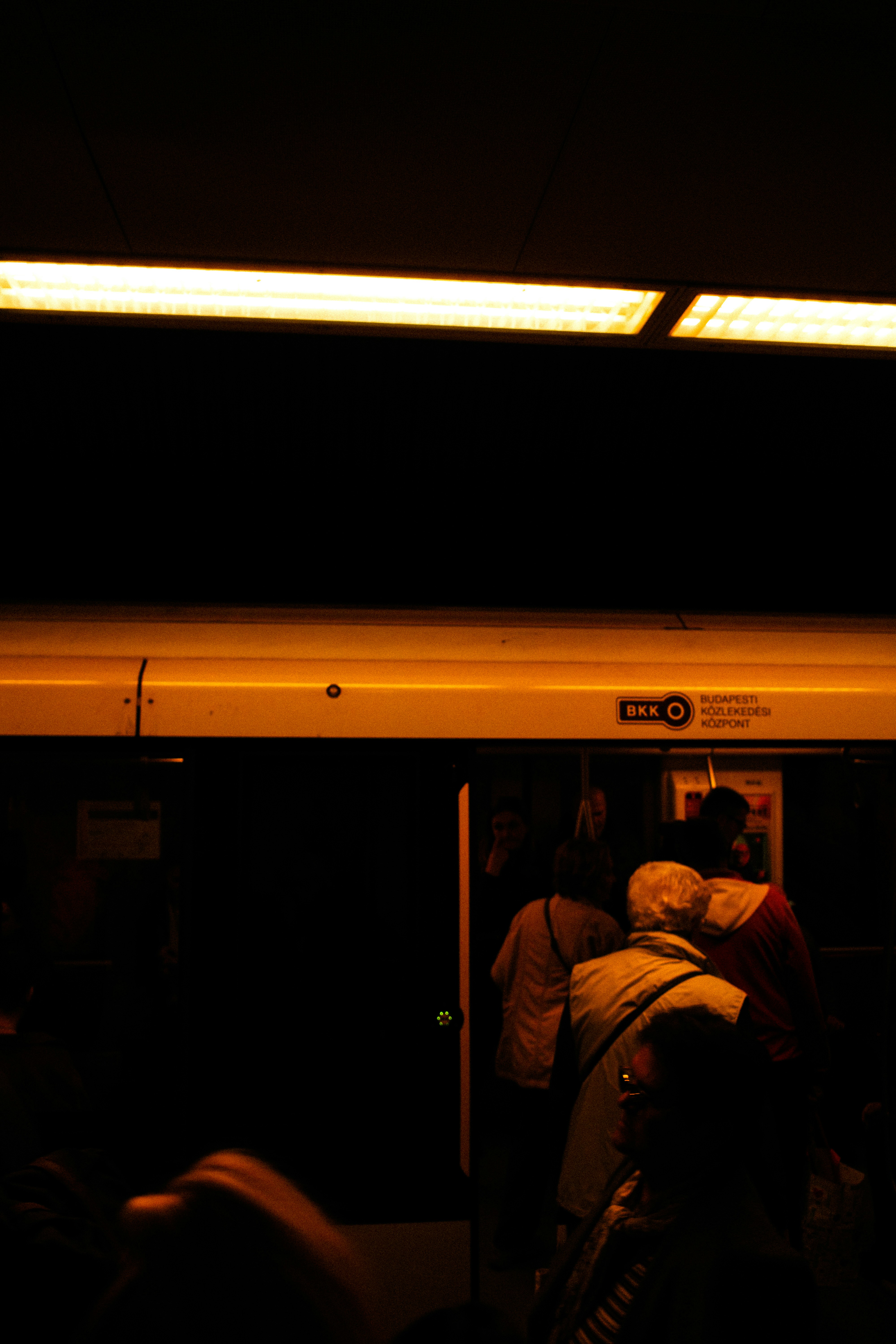 Photo by stachmann