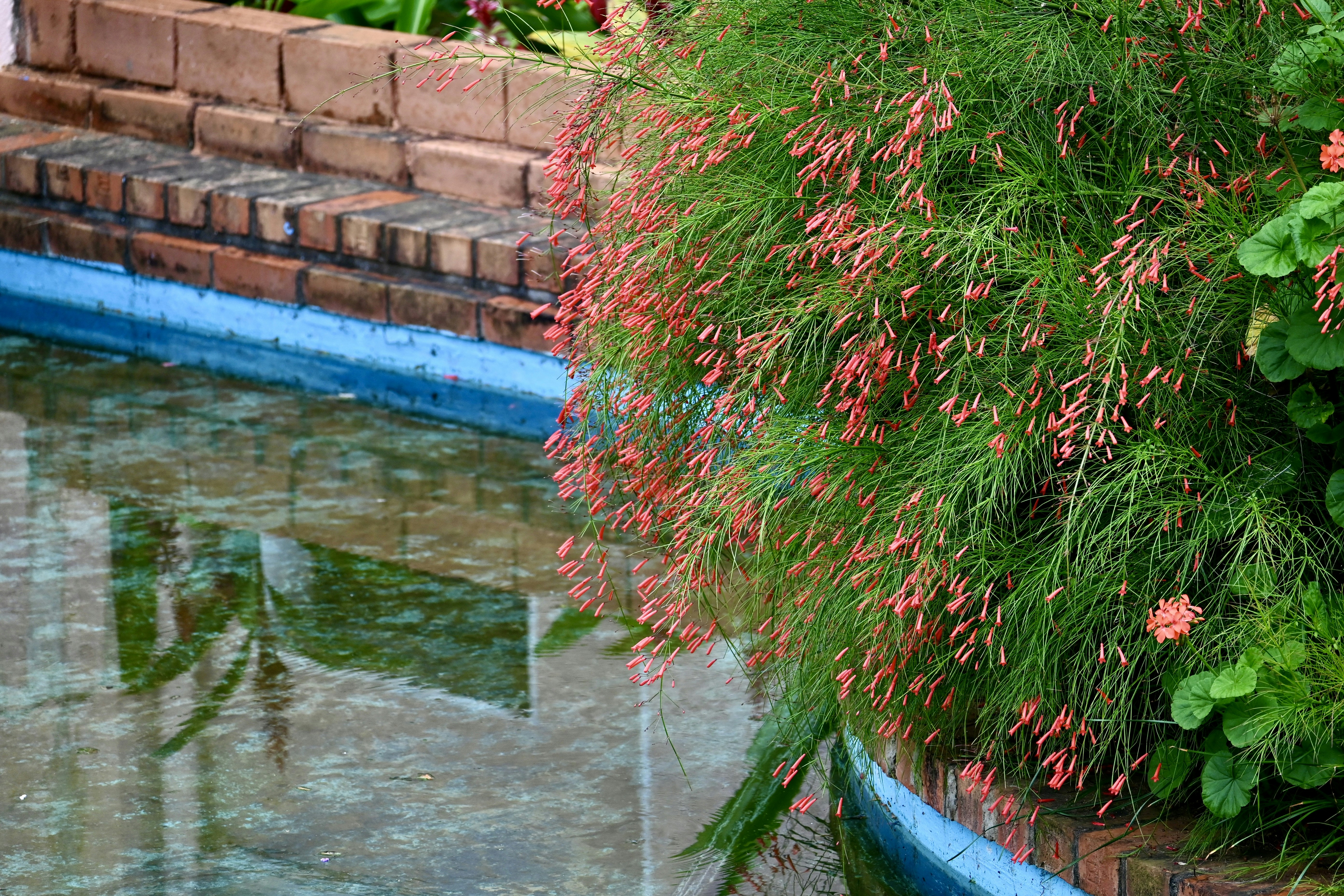 Photo by praswinprakashan