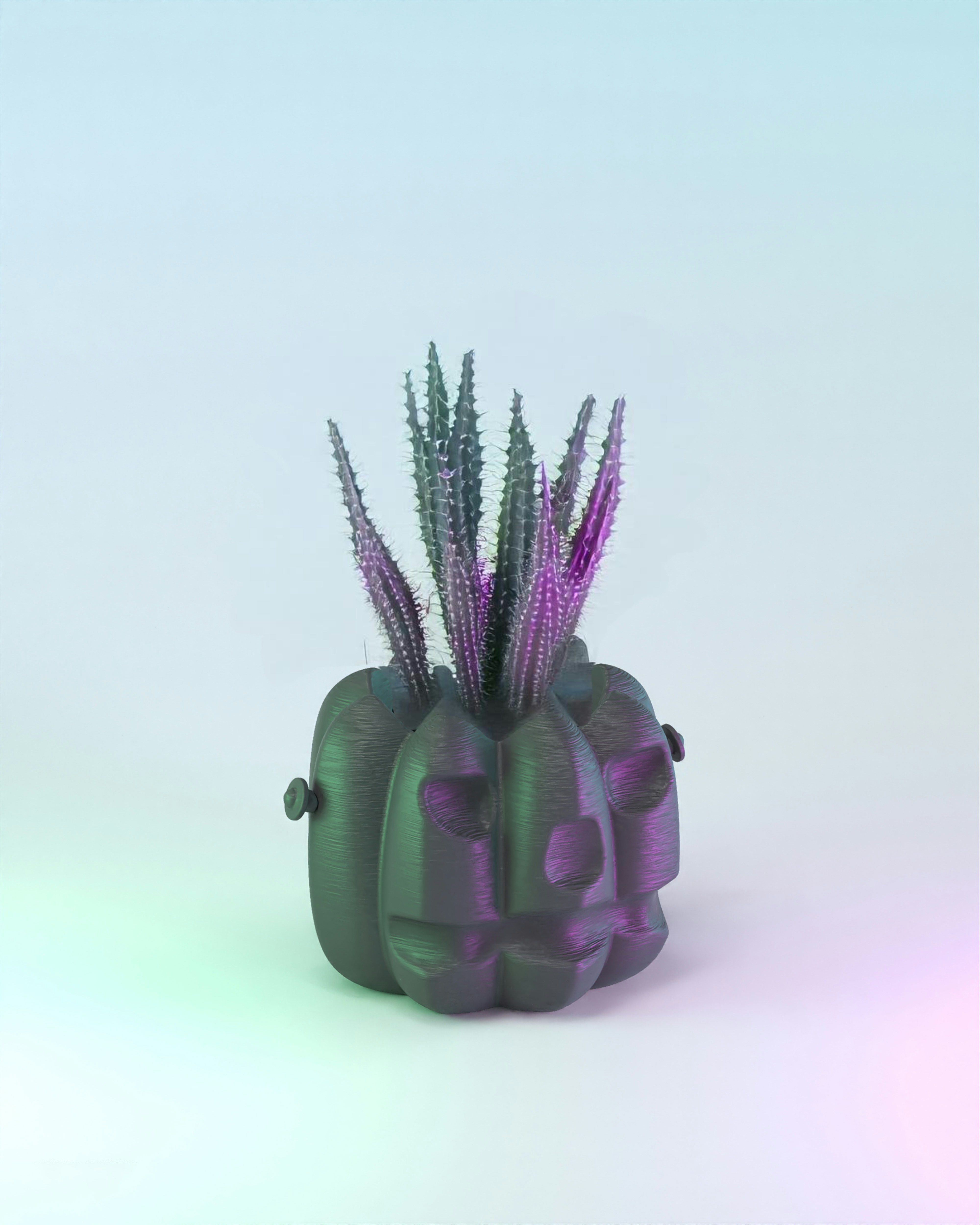 A purple plant in a black vase on a white background