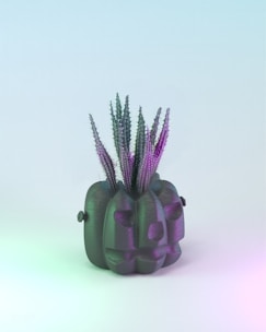 A purple plant in a black vase on a white background