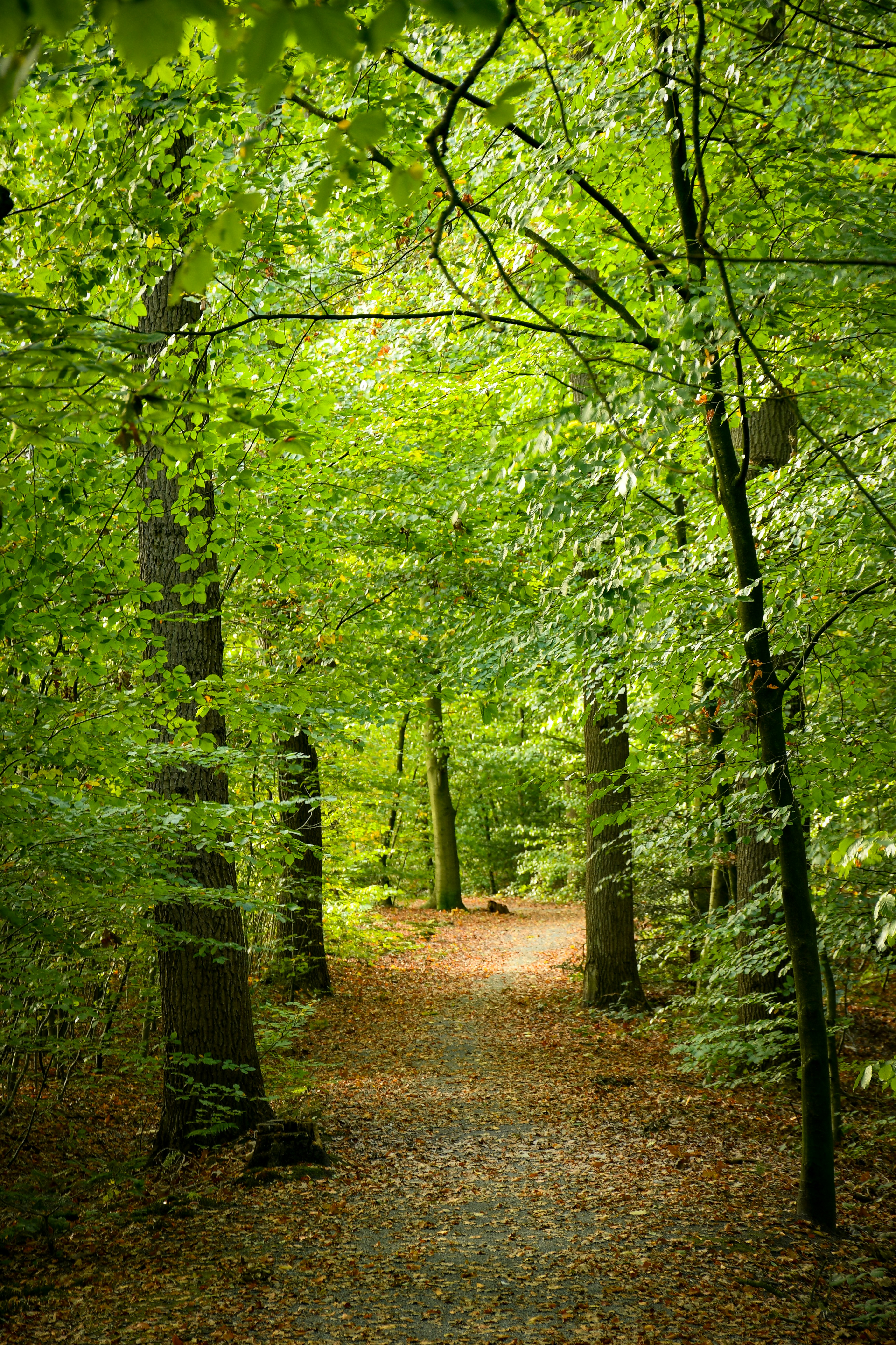 Photo by sredina_jeseni