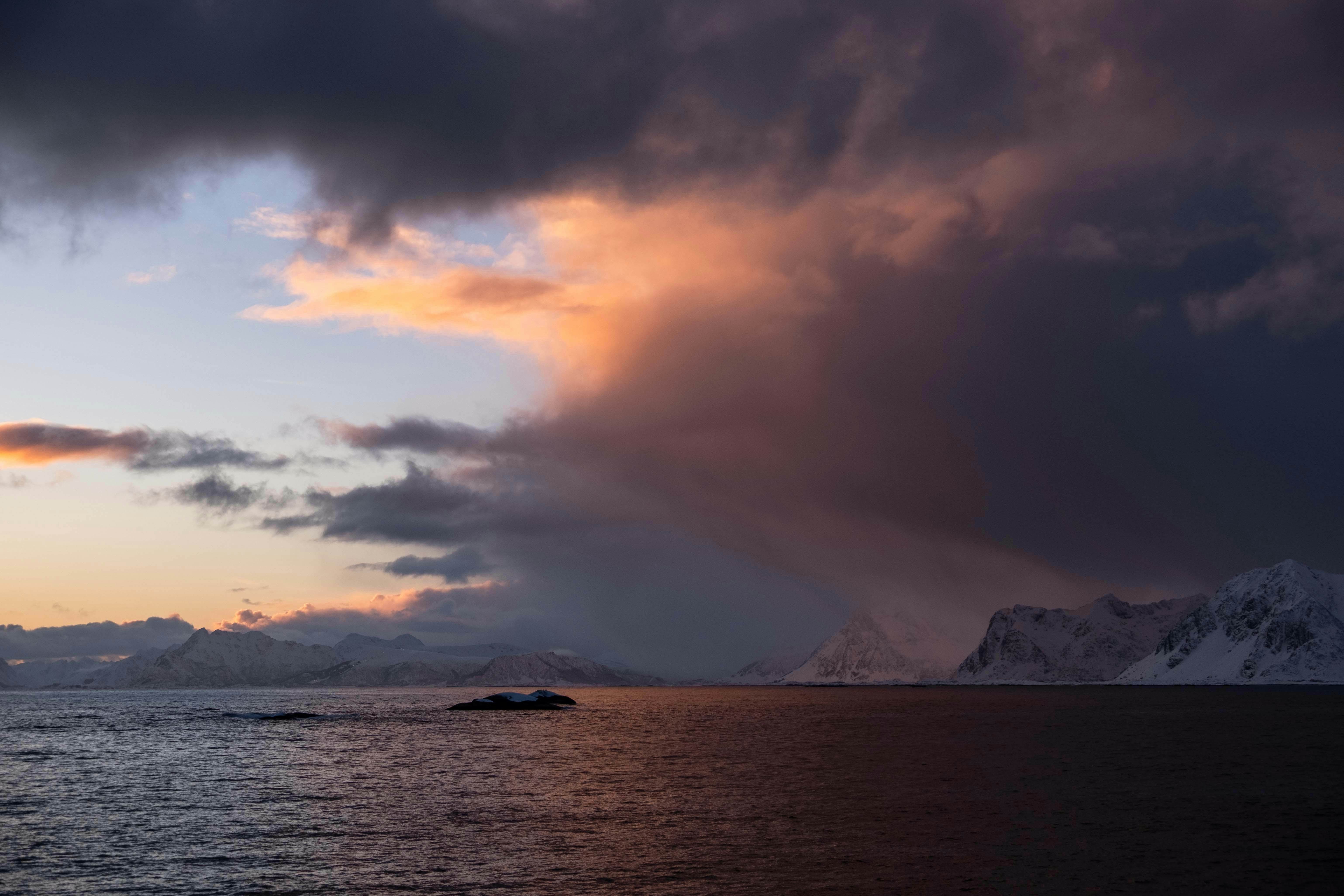 Photo by francesco_ungaro