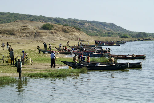 River activity