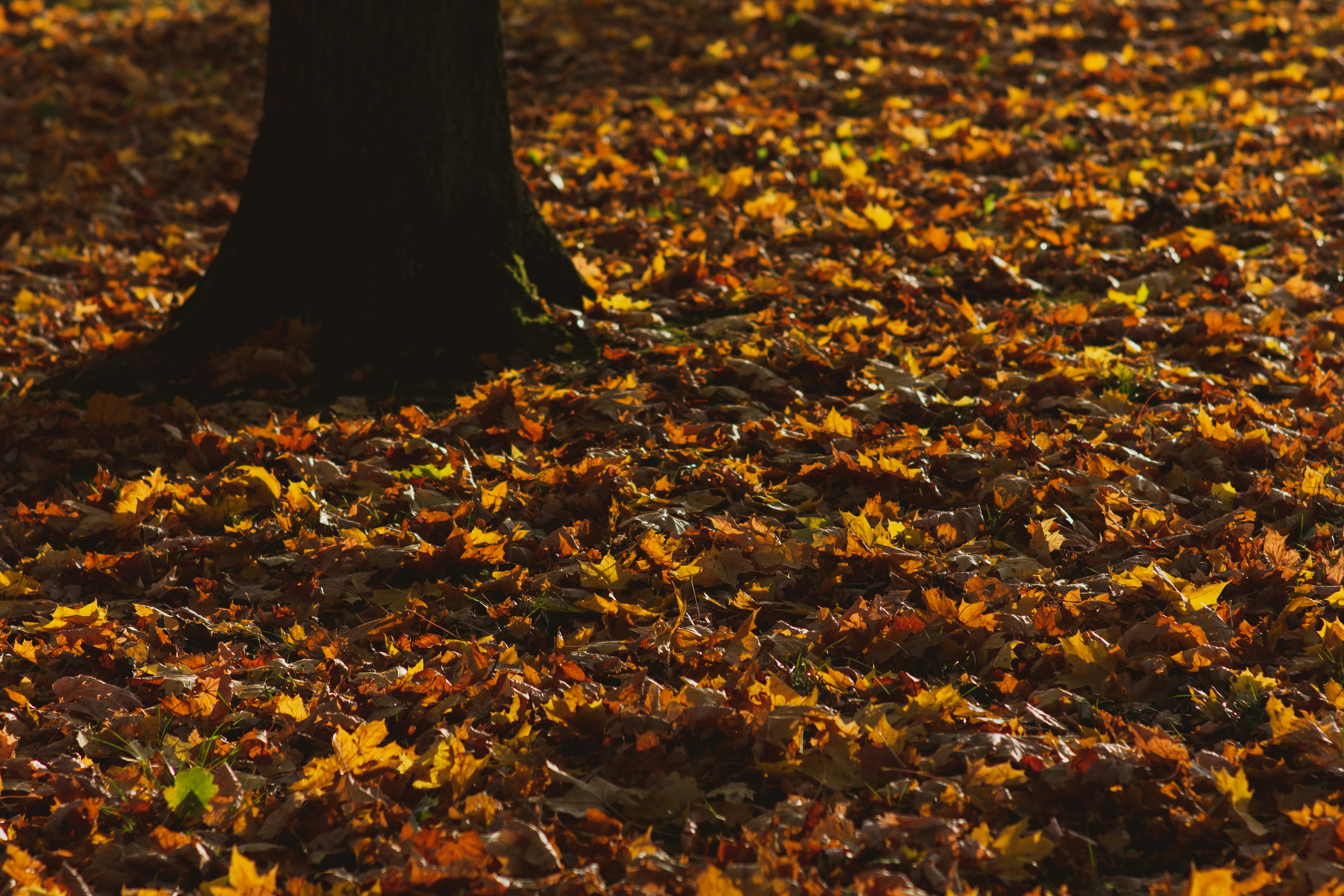 Photo by maciejka_dslr