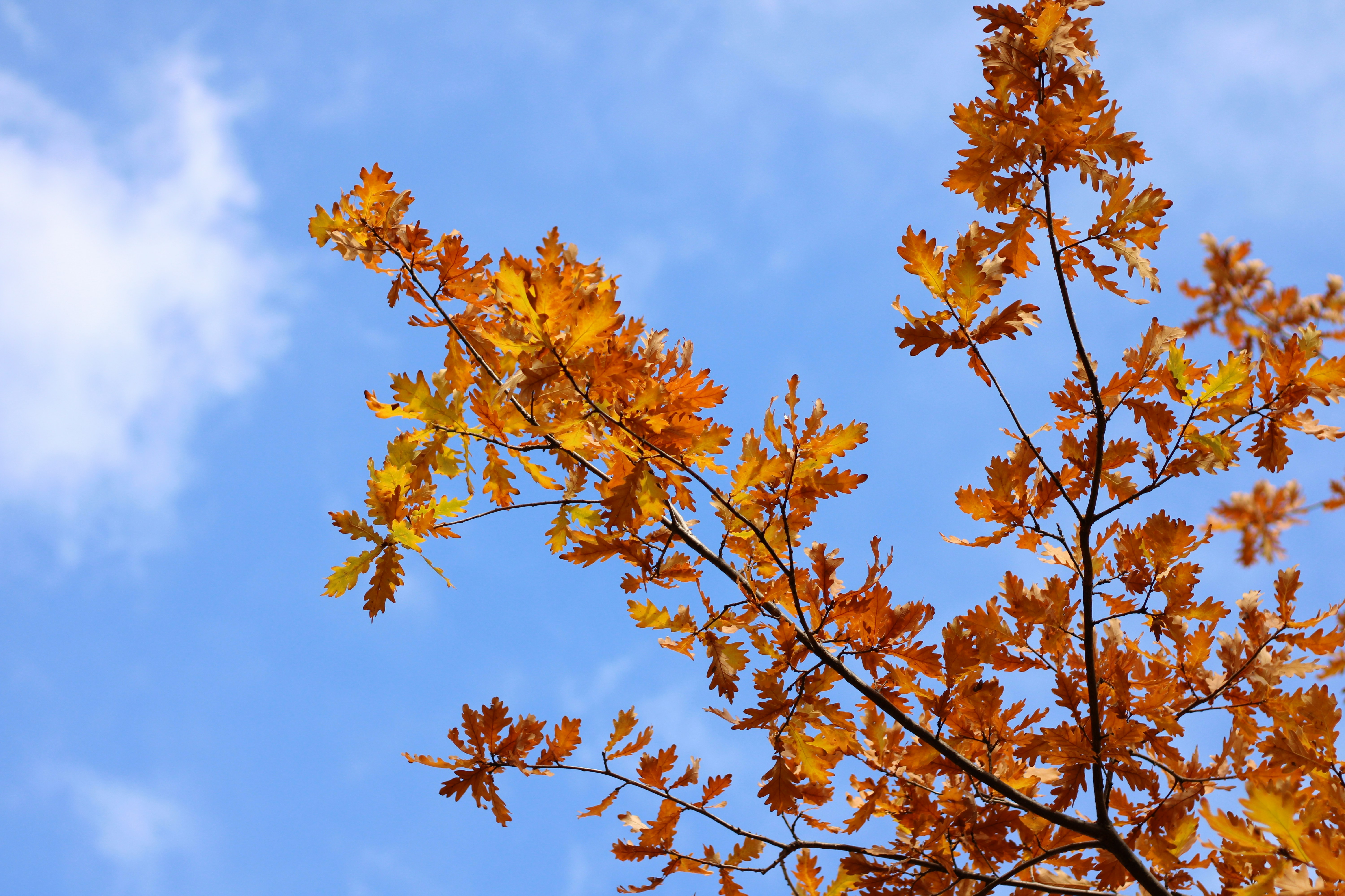 Photo by that_one_ukrainian