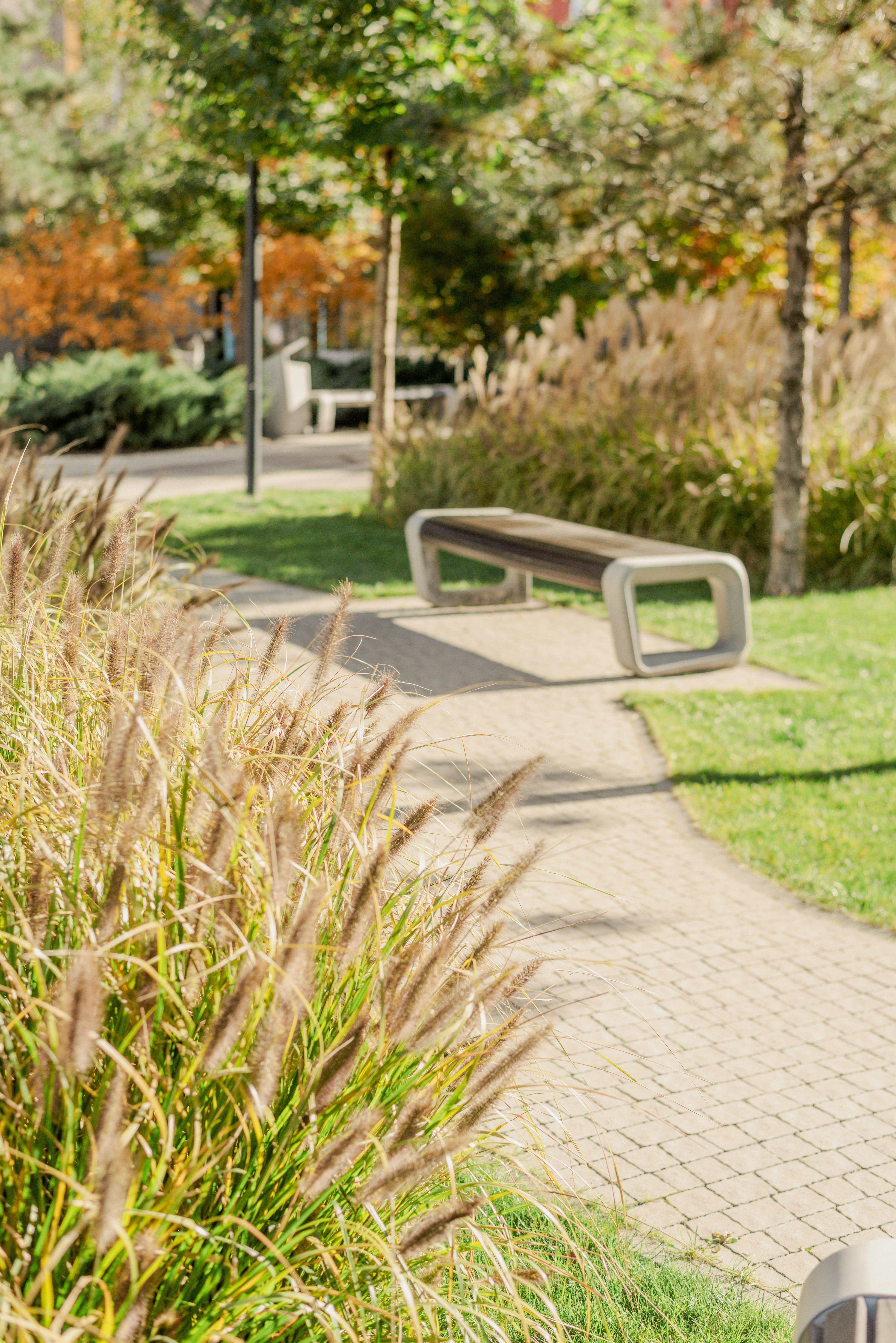 Photo by eugenivy_now