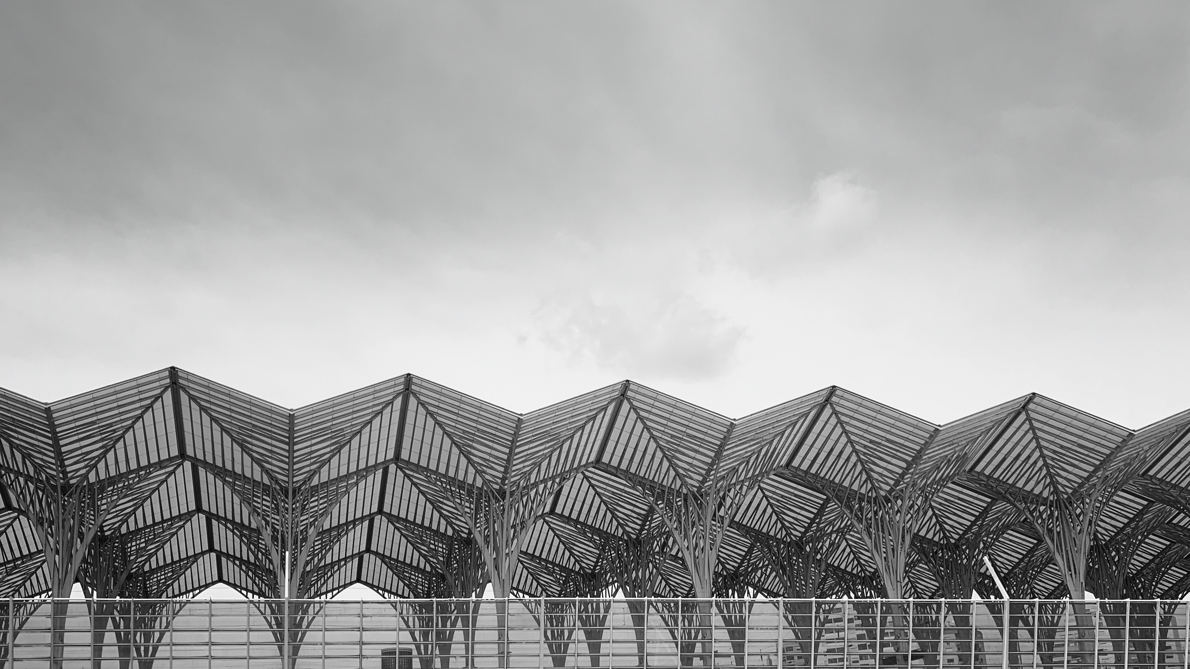 Ein veröffentlichtes Foto