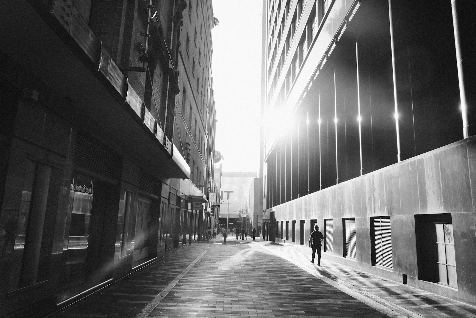 Quiet Sydney laneway in black and white