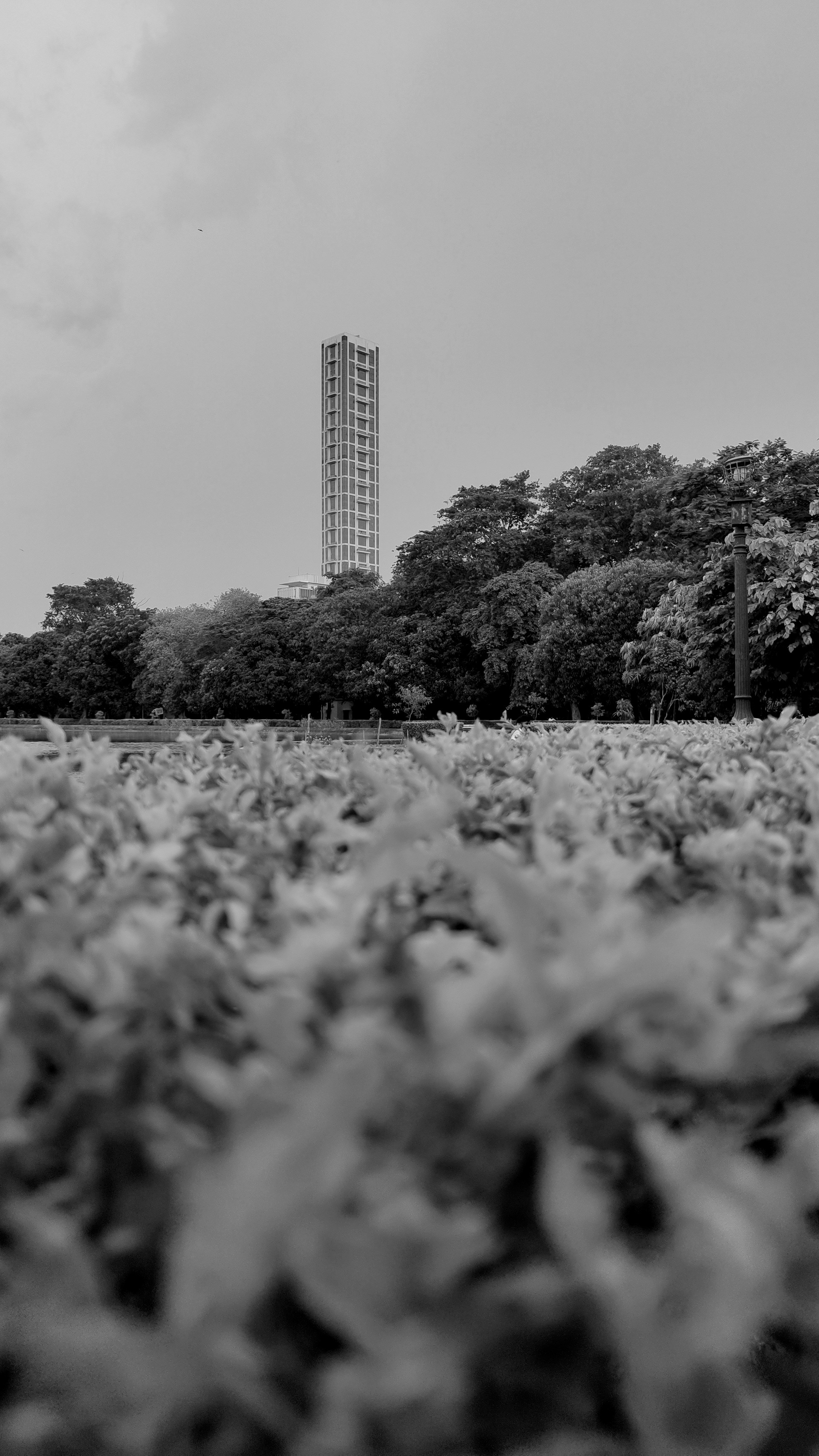 The Art of Authenticity: Craft Your Photographic Voice with Minimalist Gear