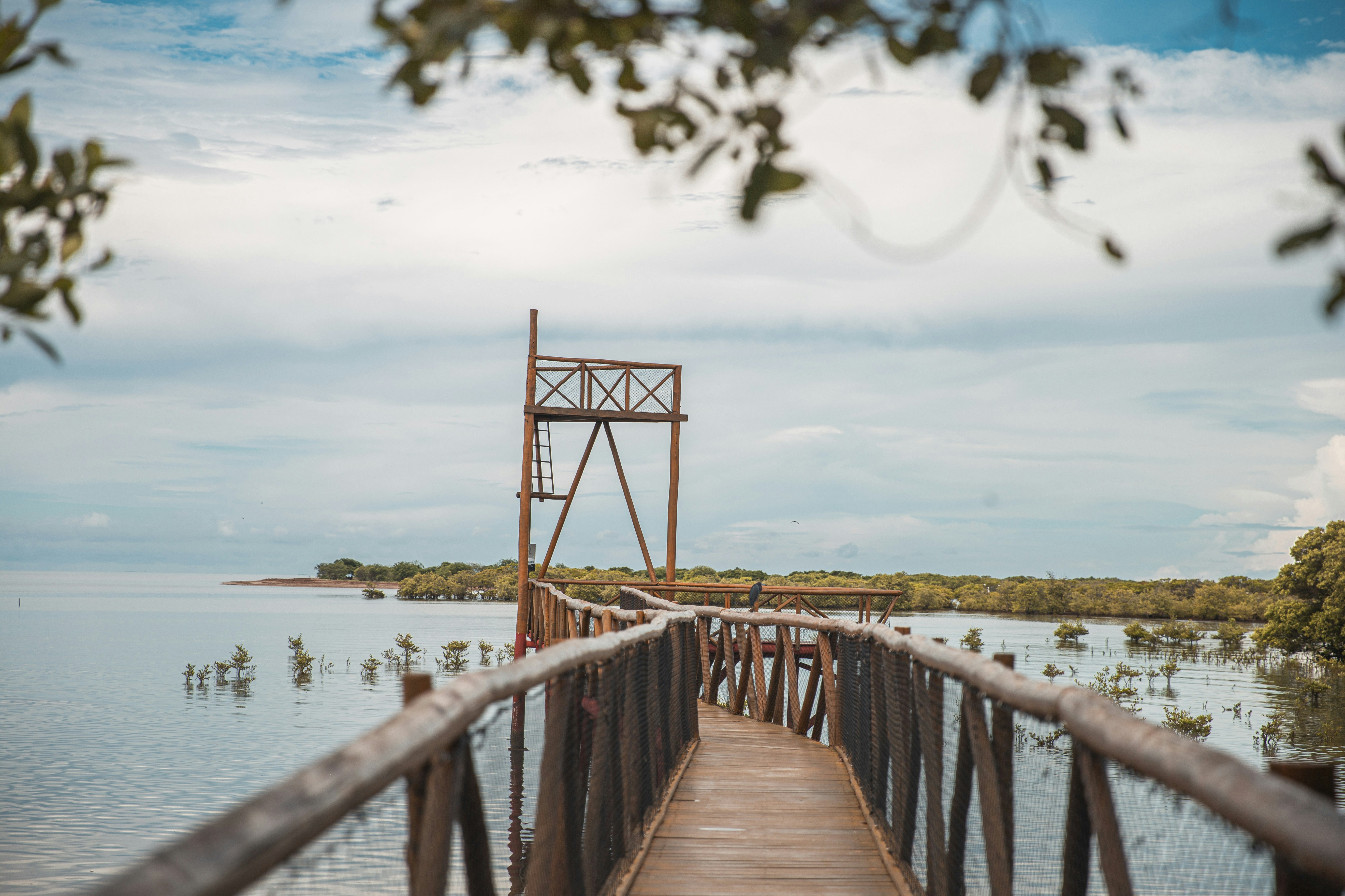 Photo by barrosmaiza