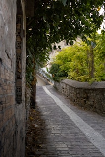 A narrow street with a stone wall and trees