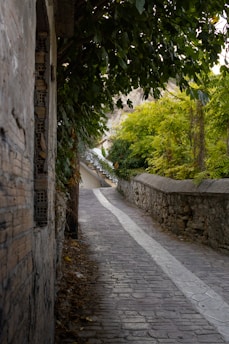 A narrow street with a stone wall and trees