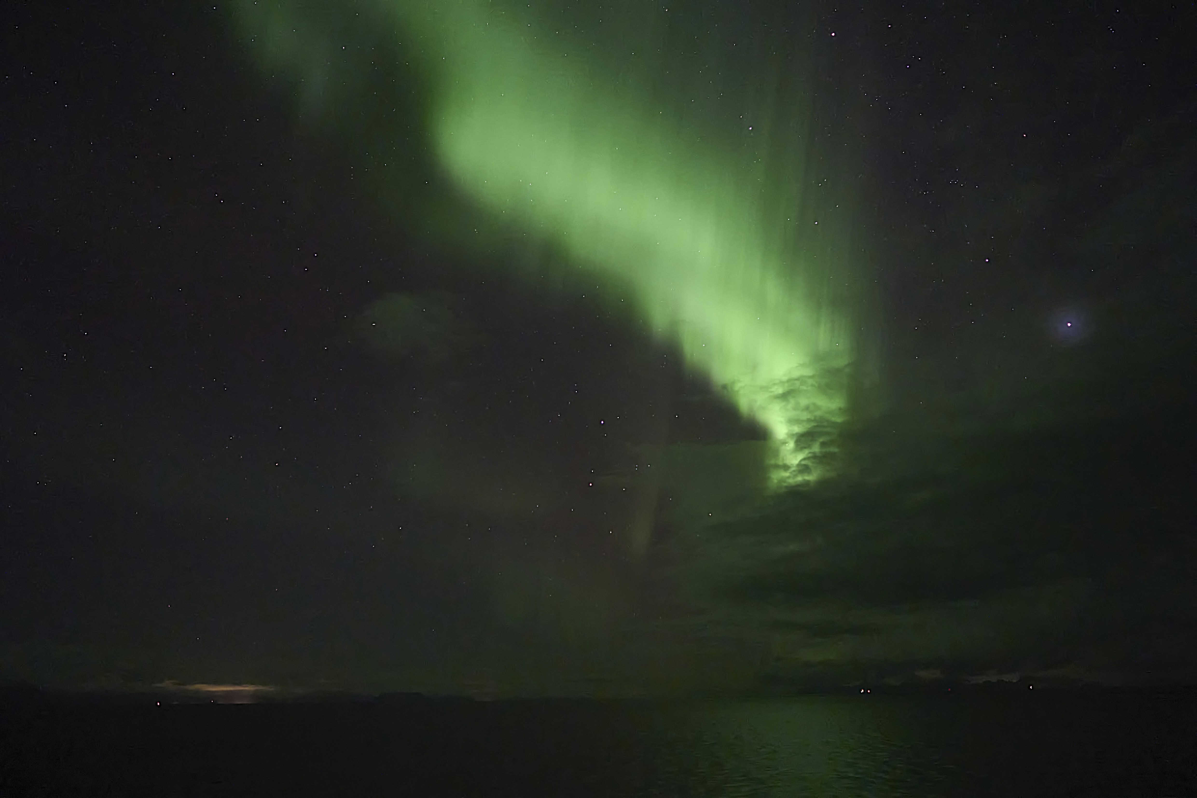 Photo by wolfgang_hasselmann