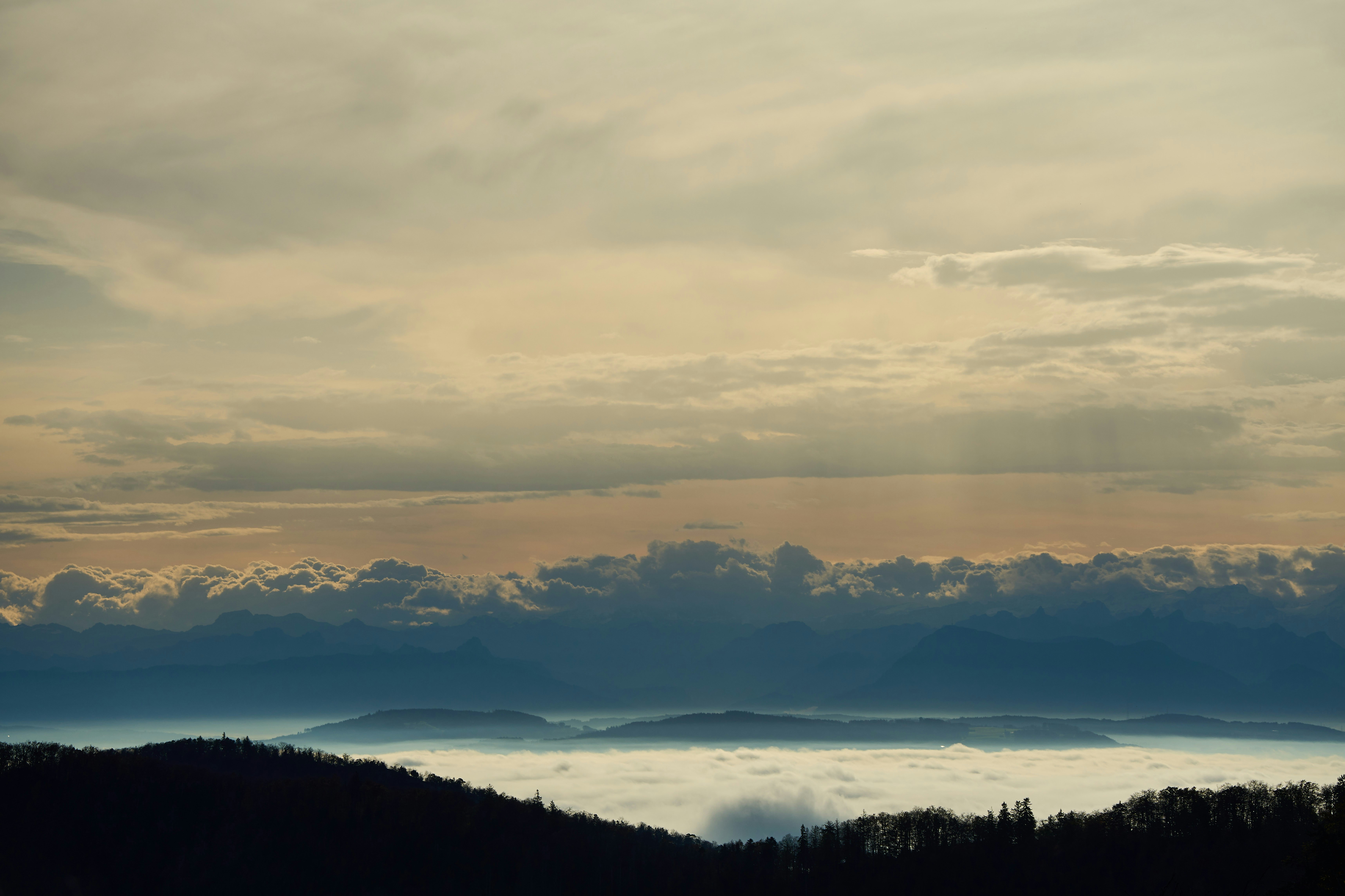 Photo by wolfgang_hasselmann