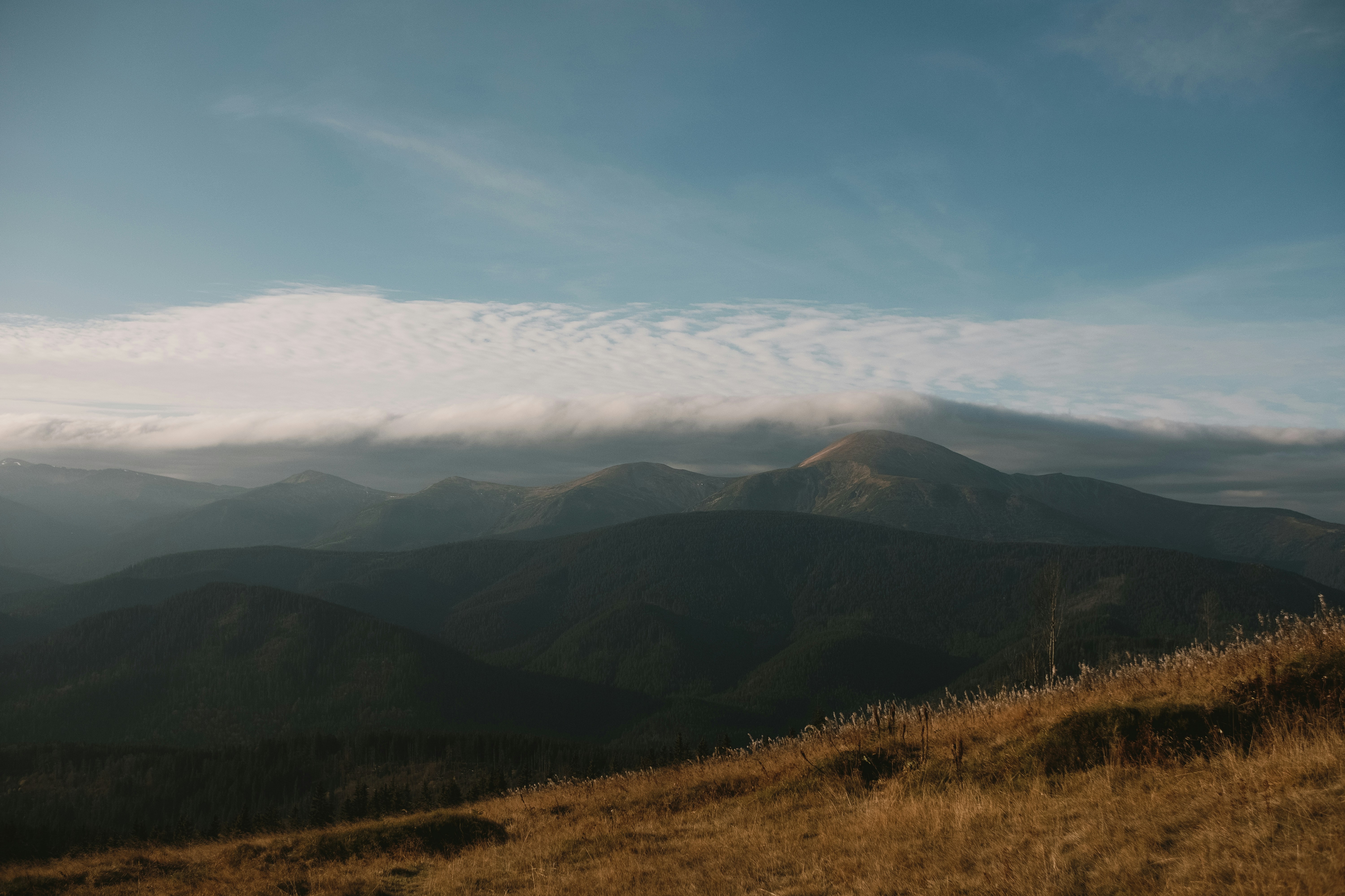 Photo by tobolenkoph