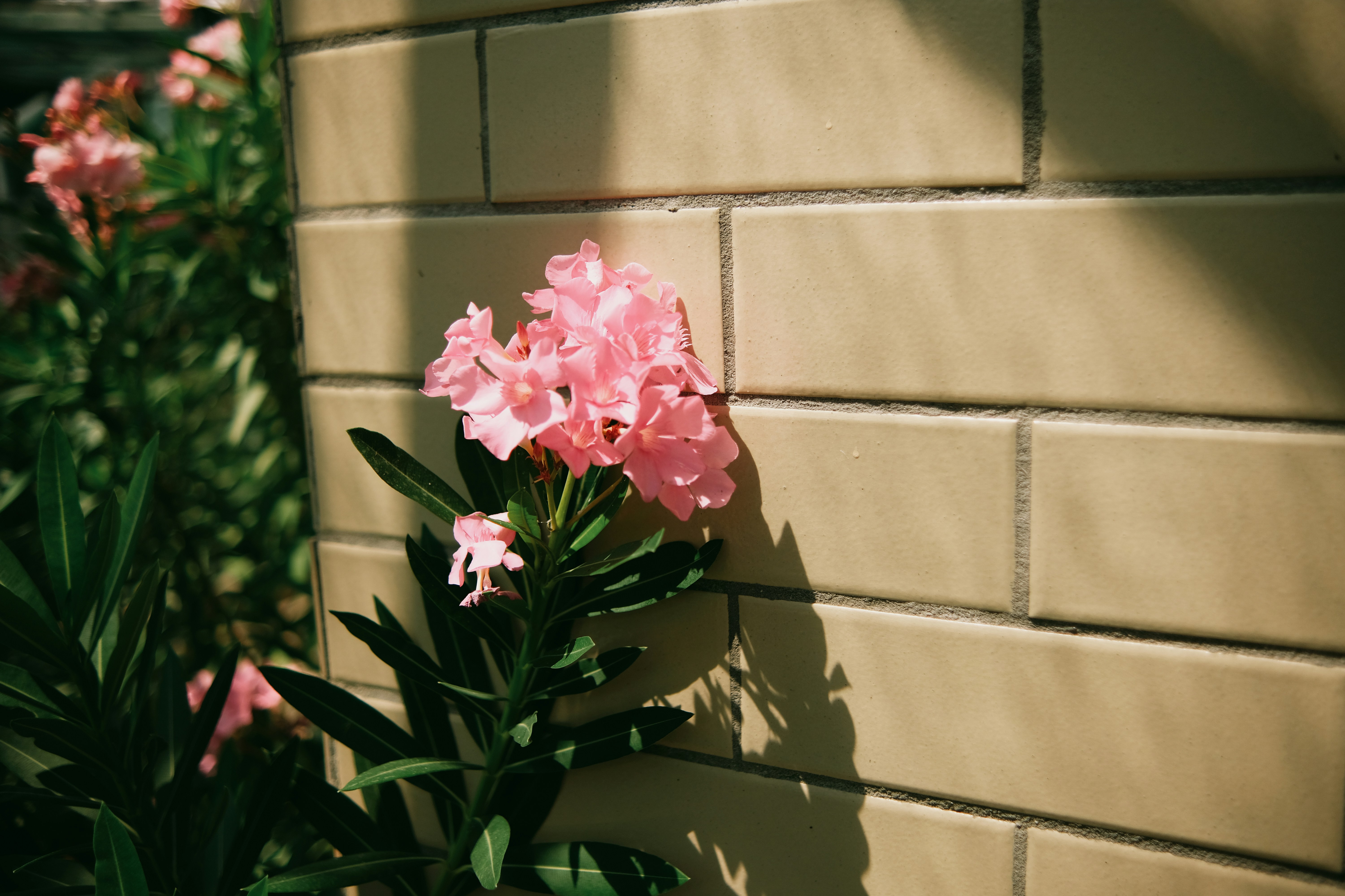 Photo by tobolenkoph