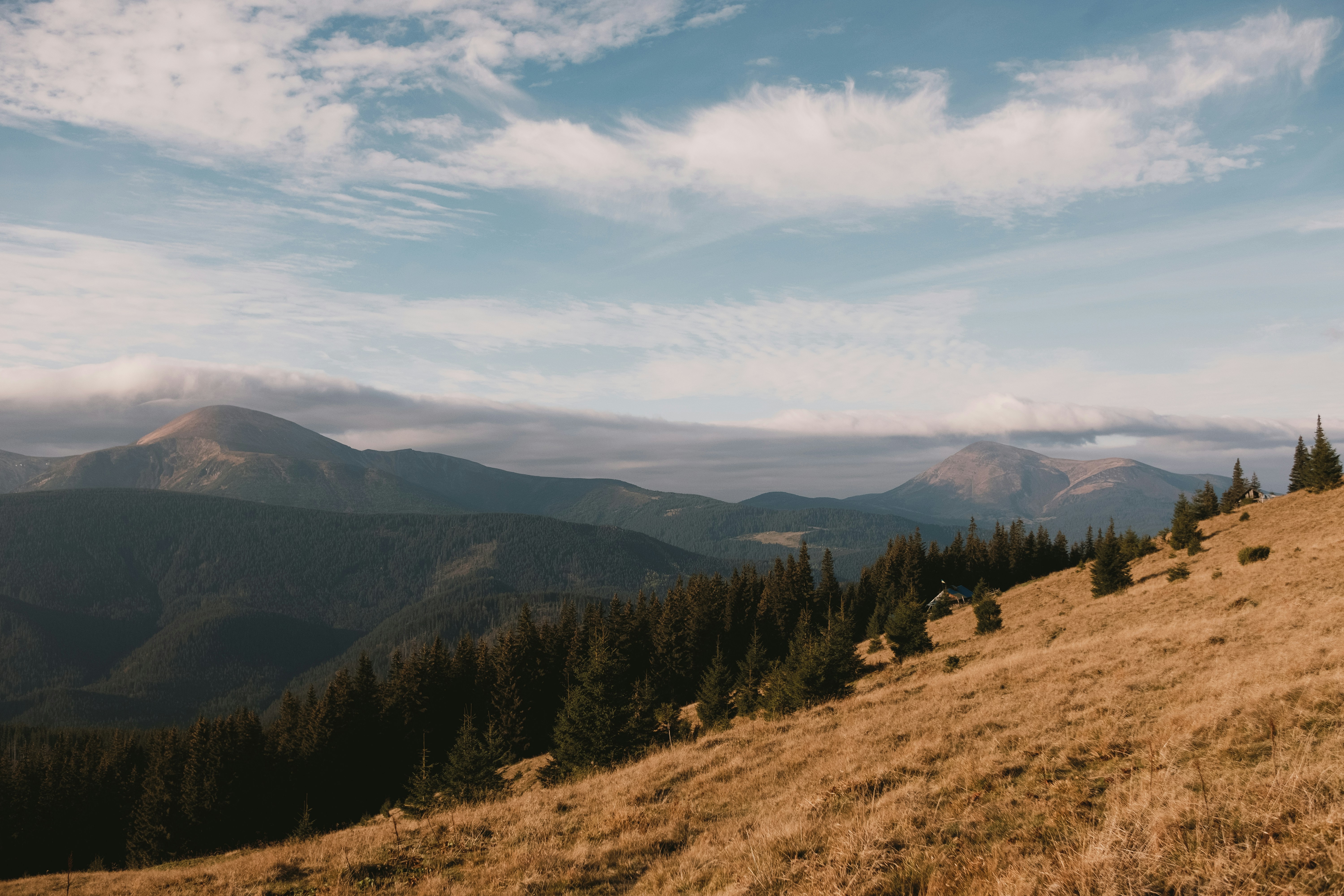 Photo by tobolenkoph