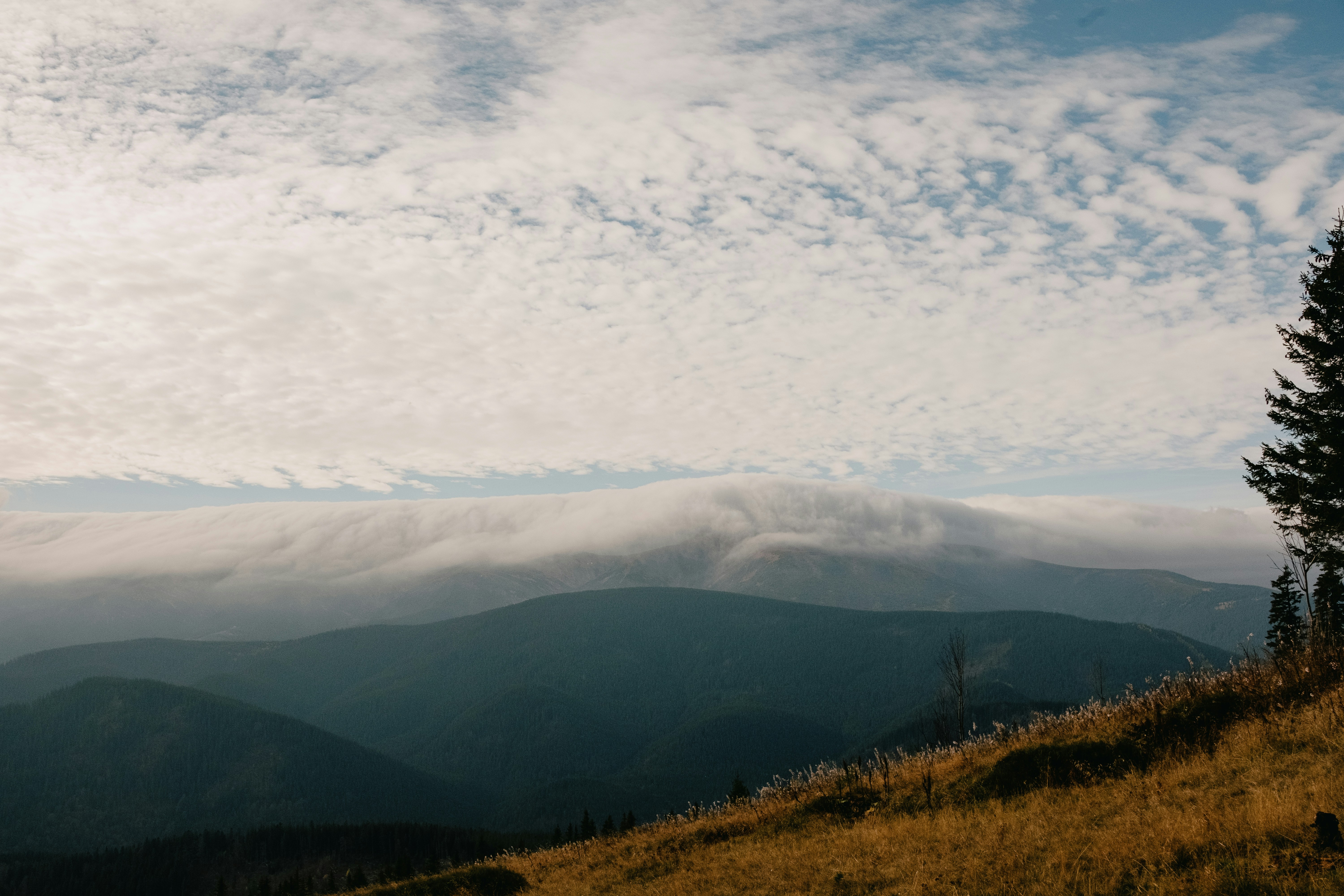 Photo by tobolenkoph