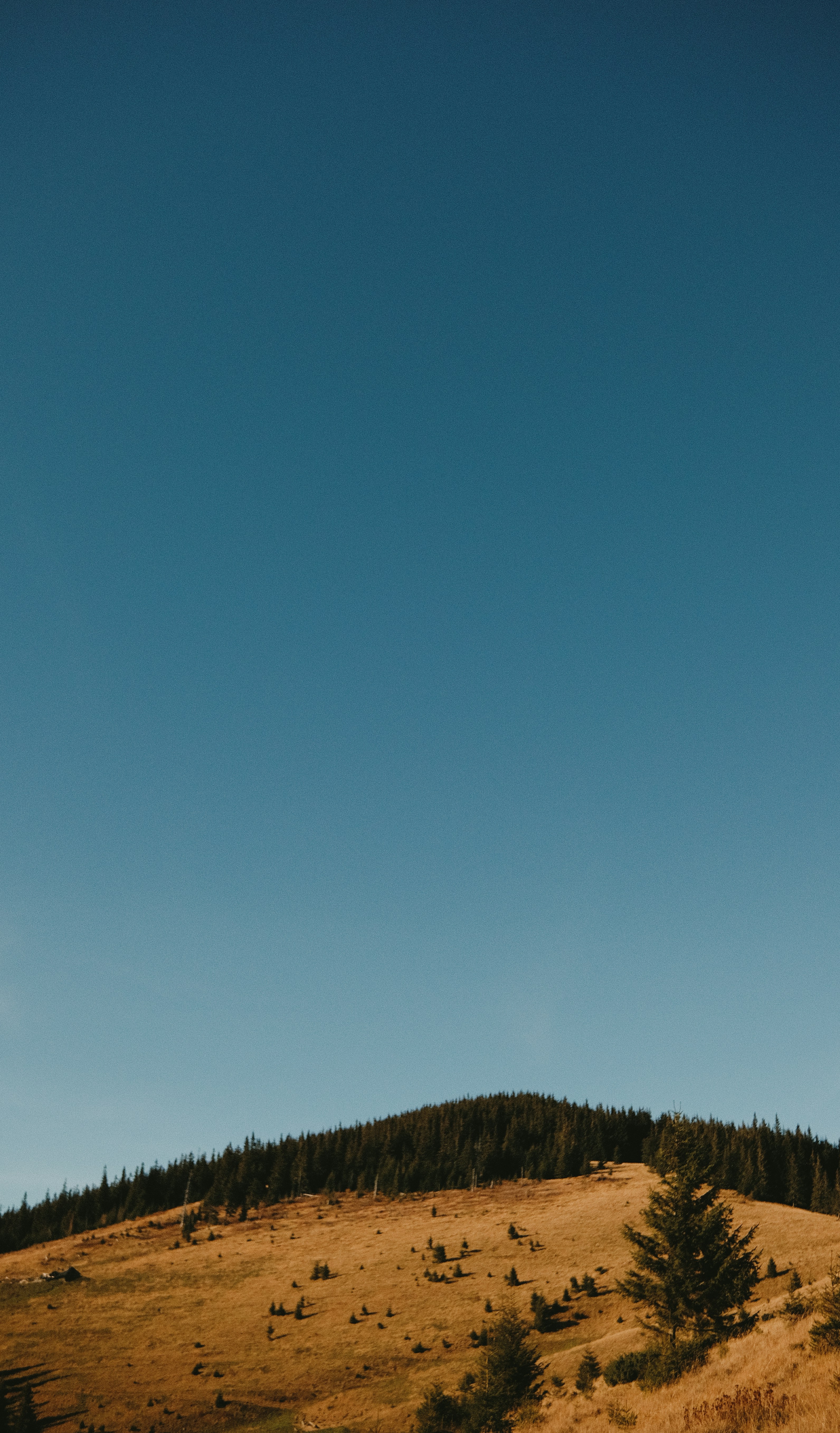 Photo by tobolenkoph