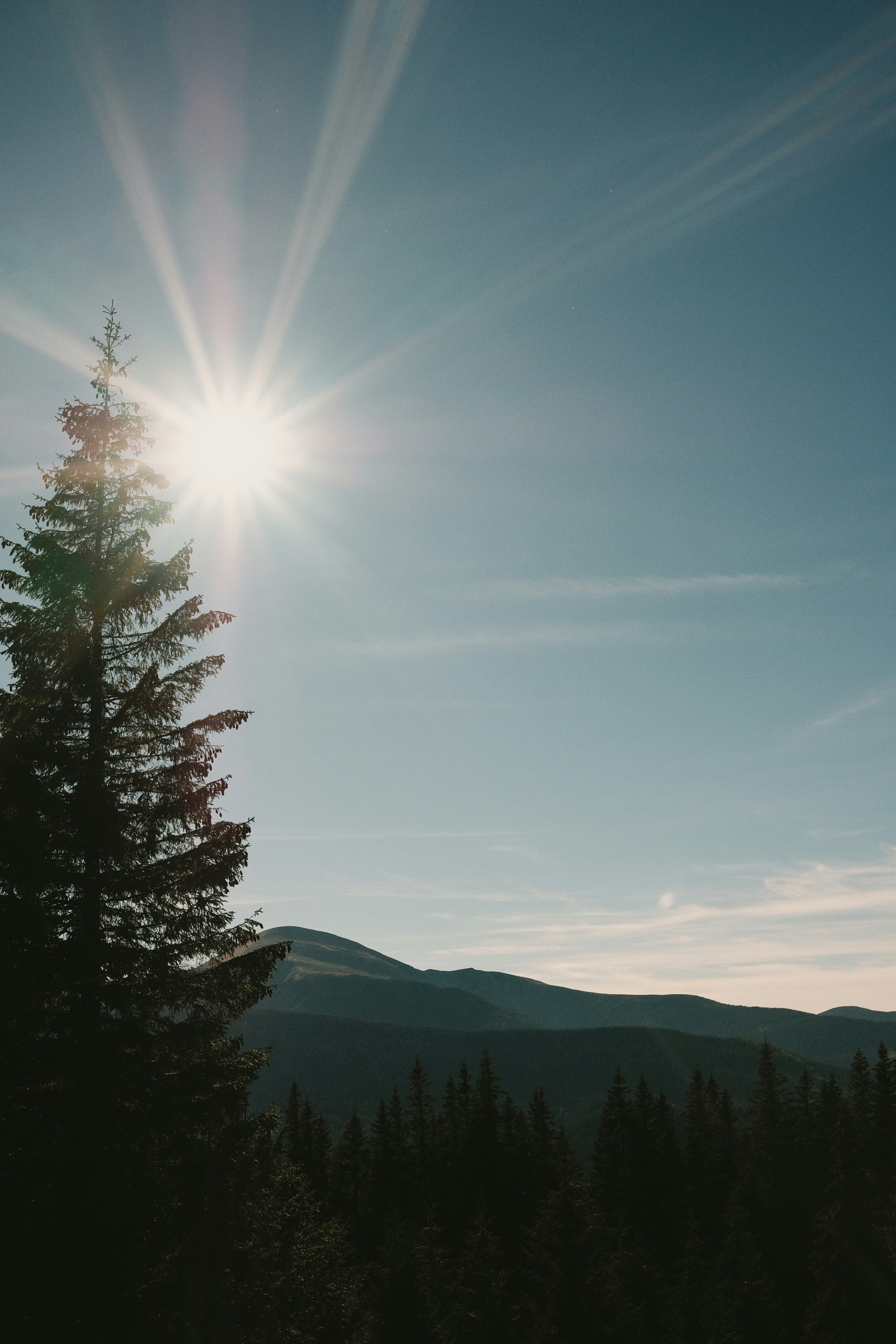 Photo by tobolenkoph