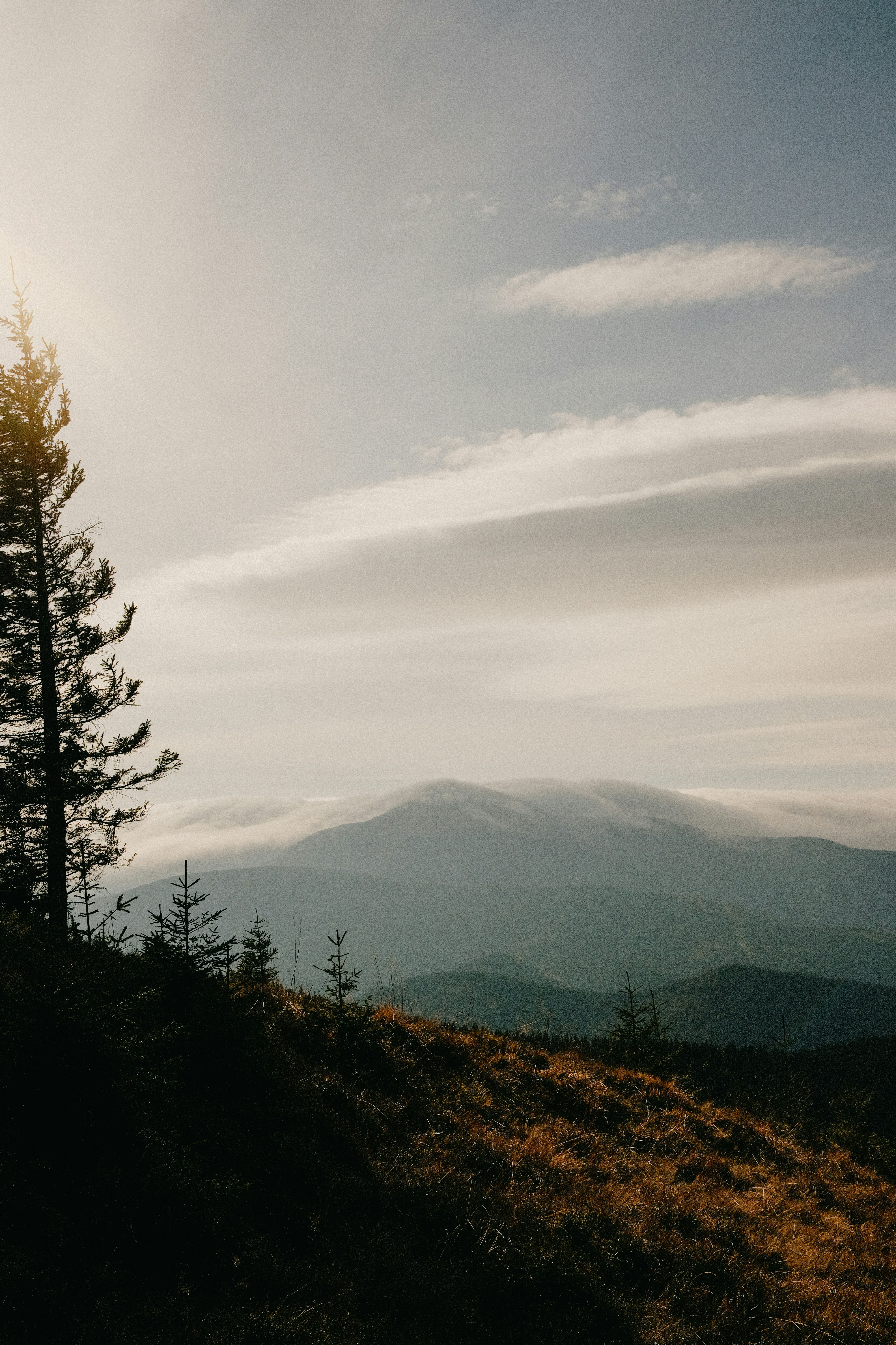 Photo by tobolenkoph