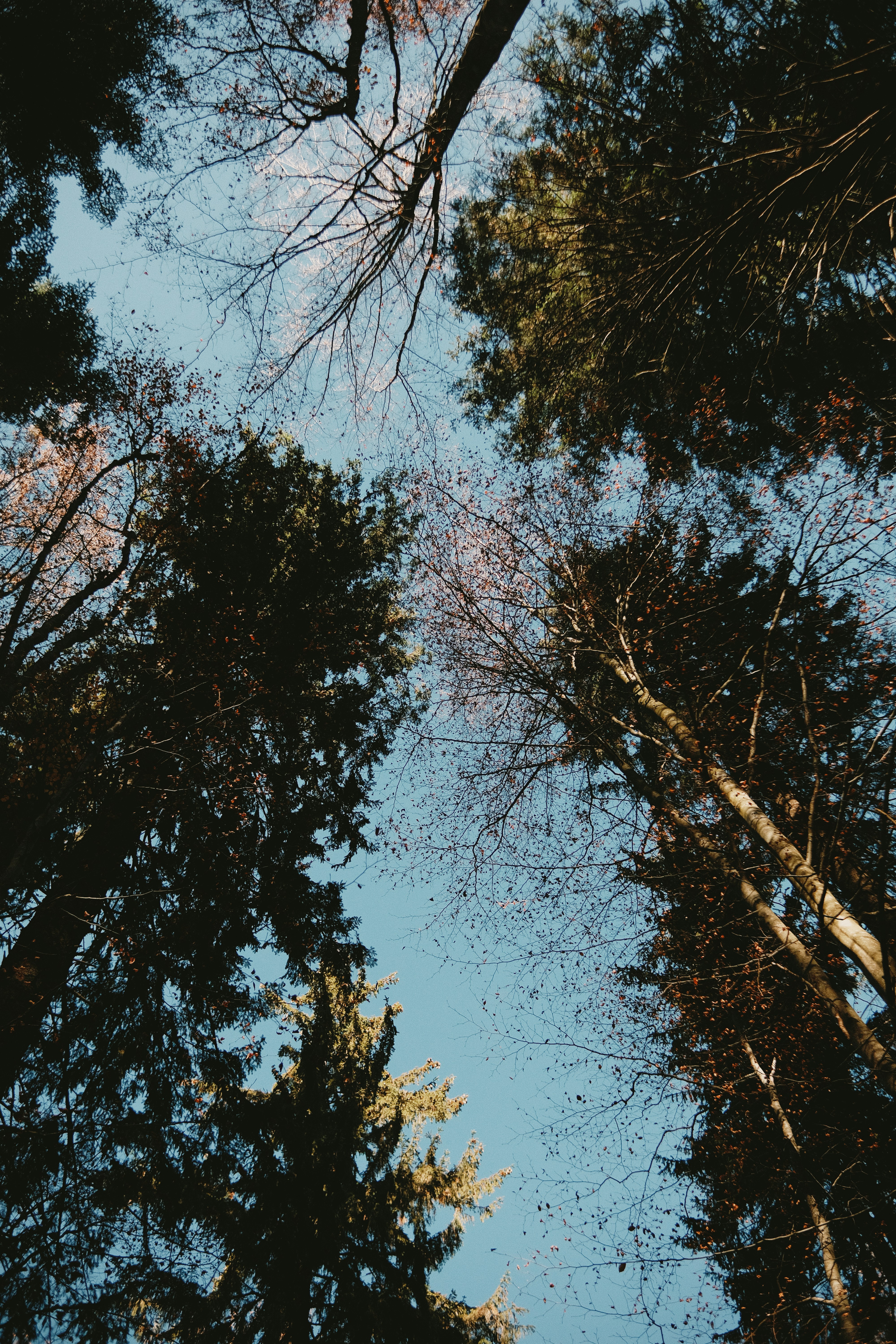 Photo by tobolenkoph