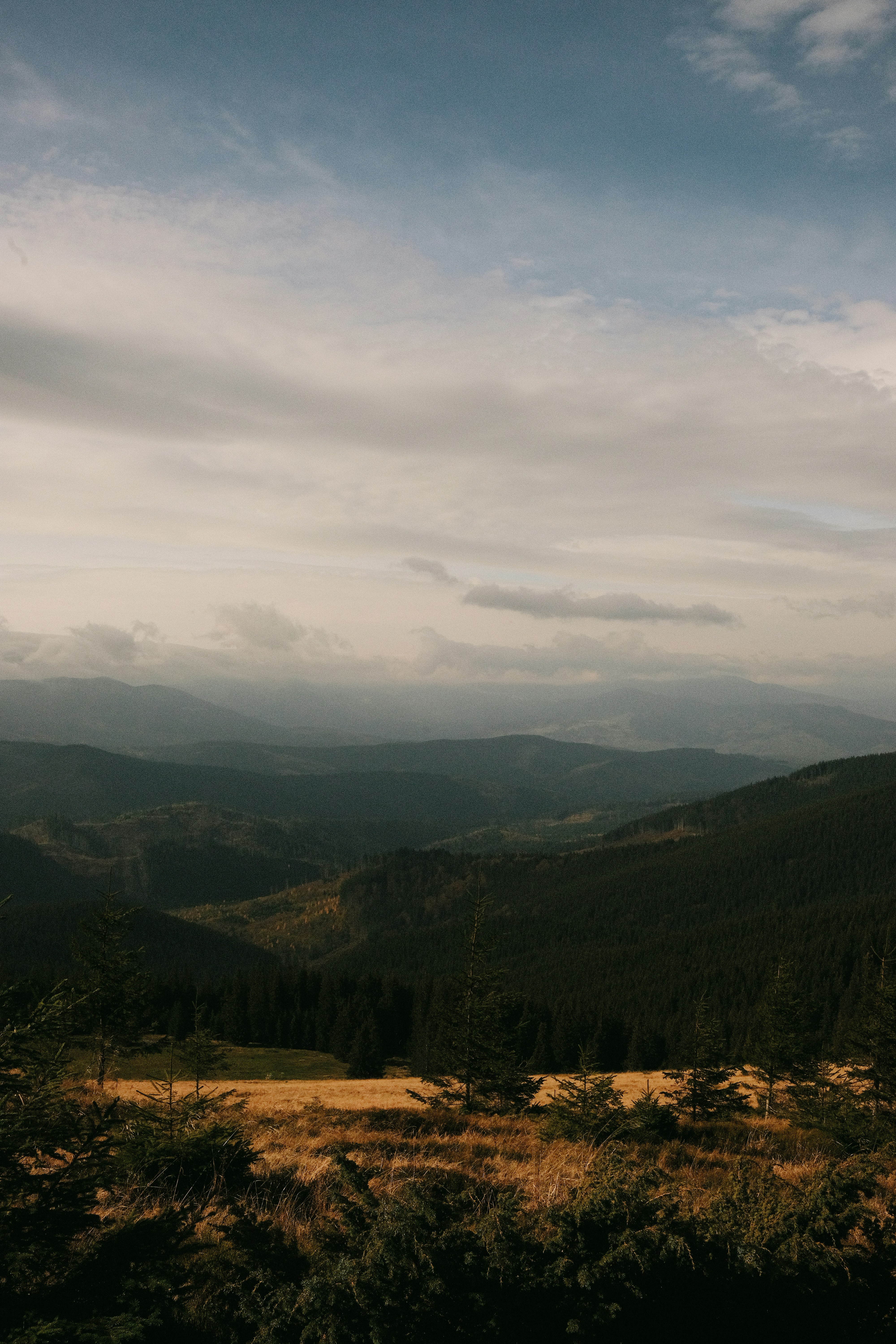 Photo by tobolenkoph