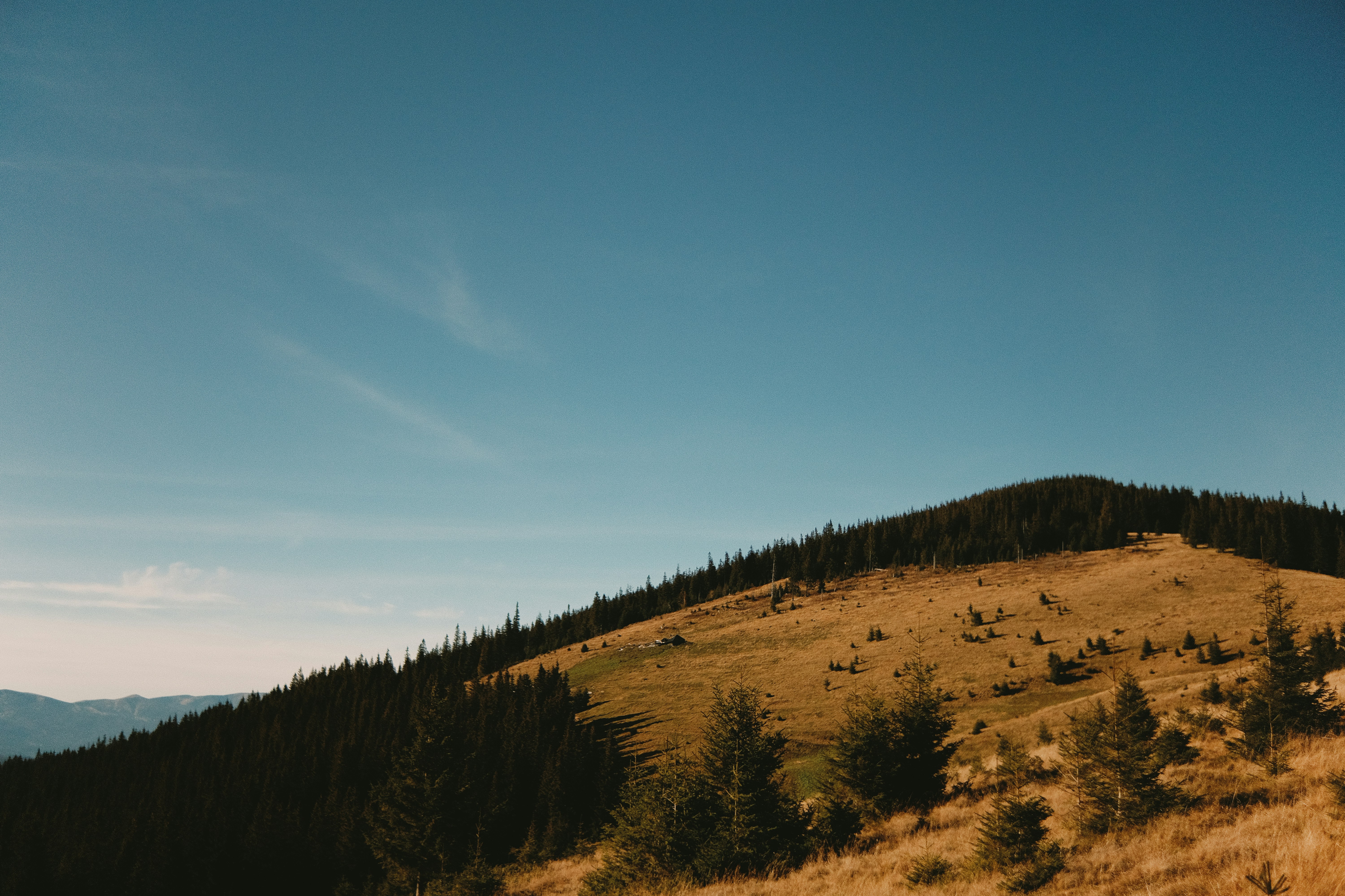 Photo by tobolenkoph