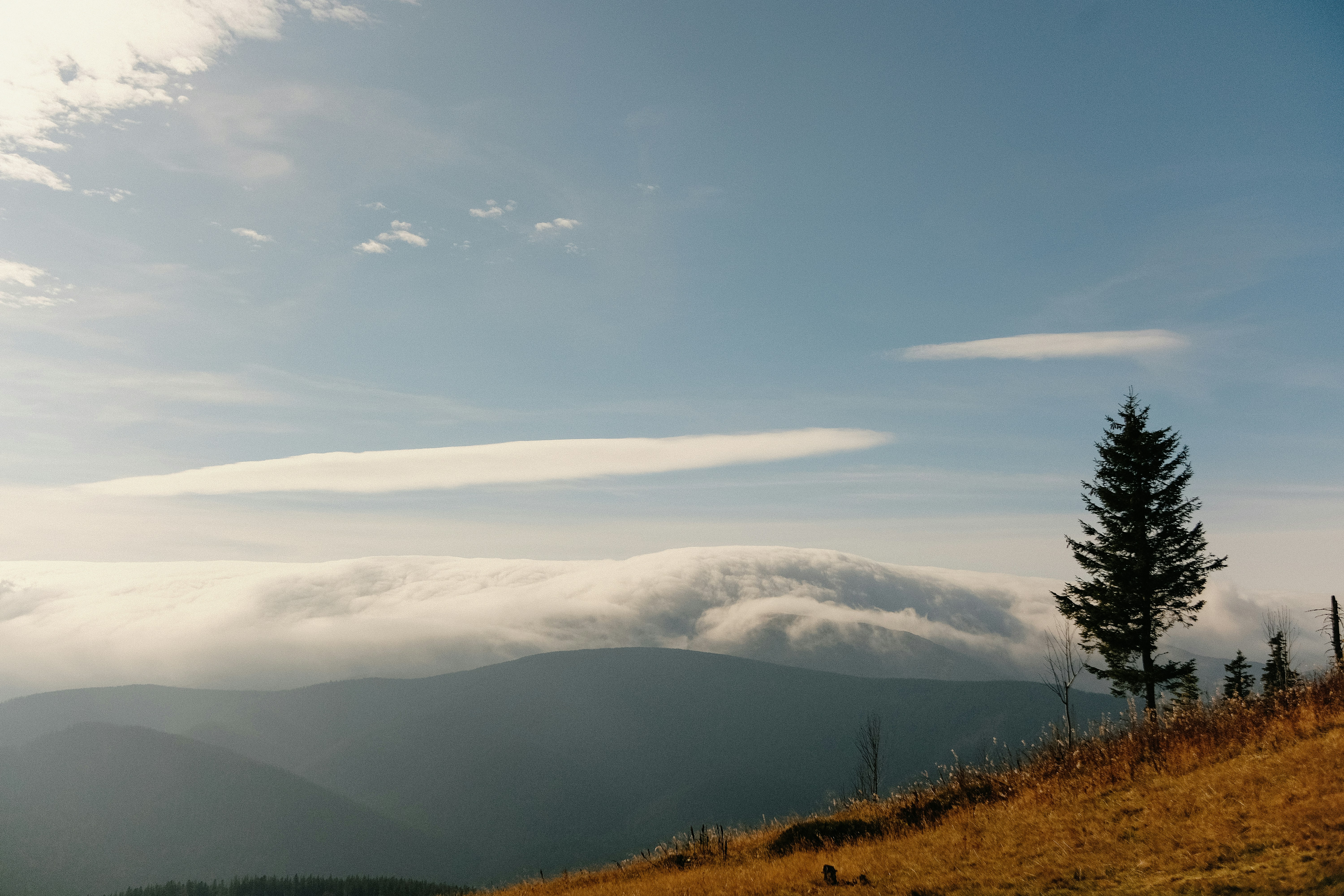 Photo by tobolenkoph