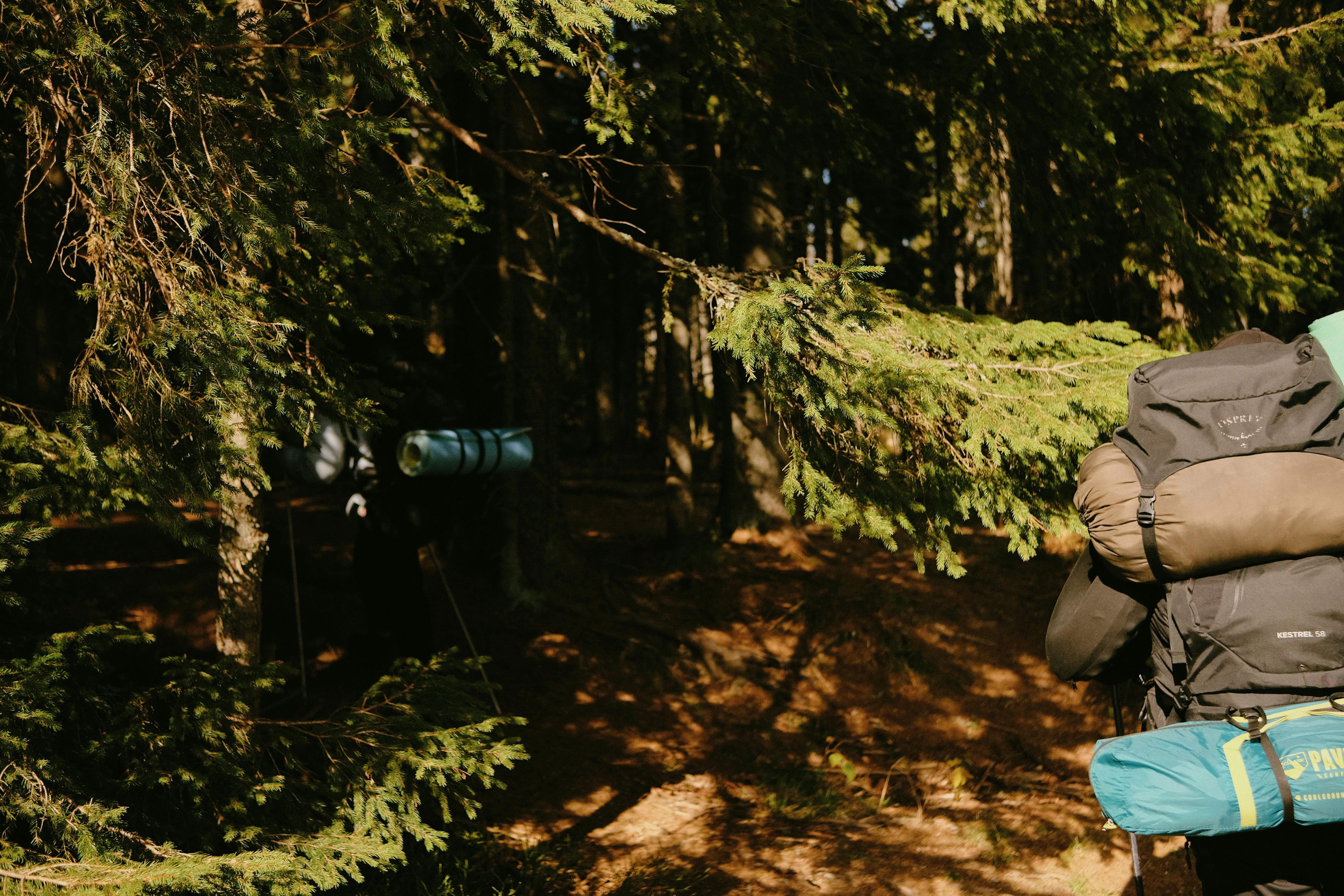 Photo by tobolenkoph