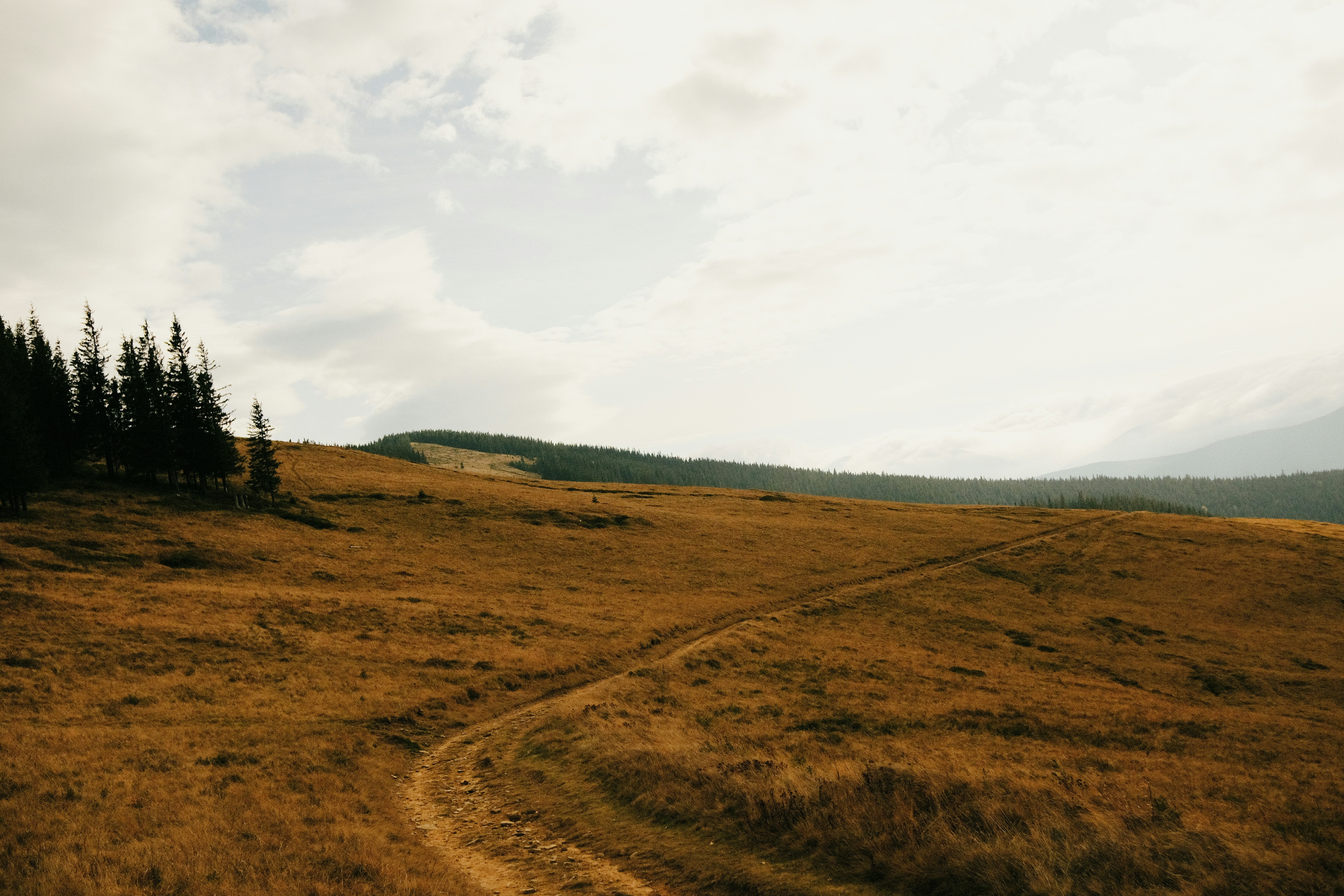 Photo by tobolenkoph