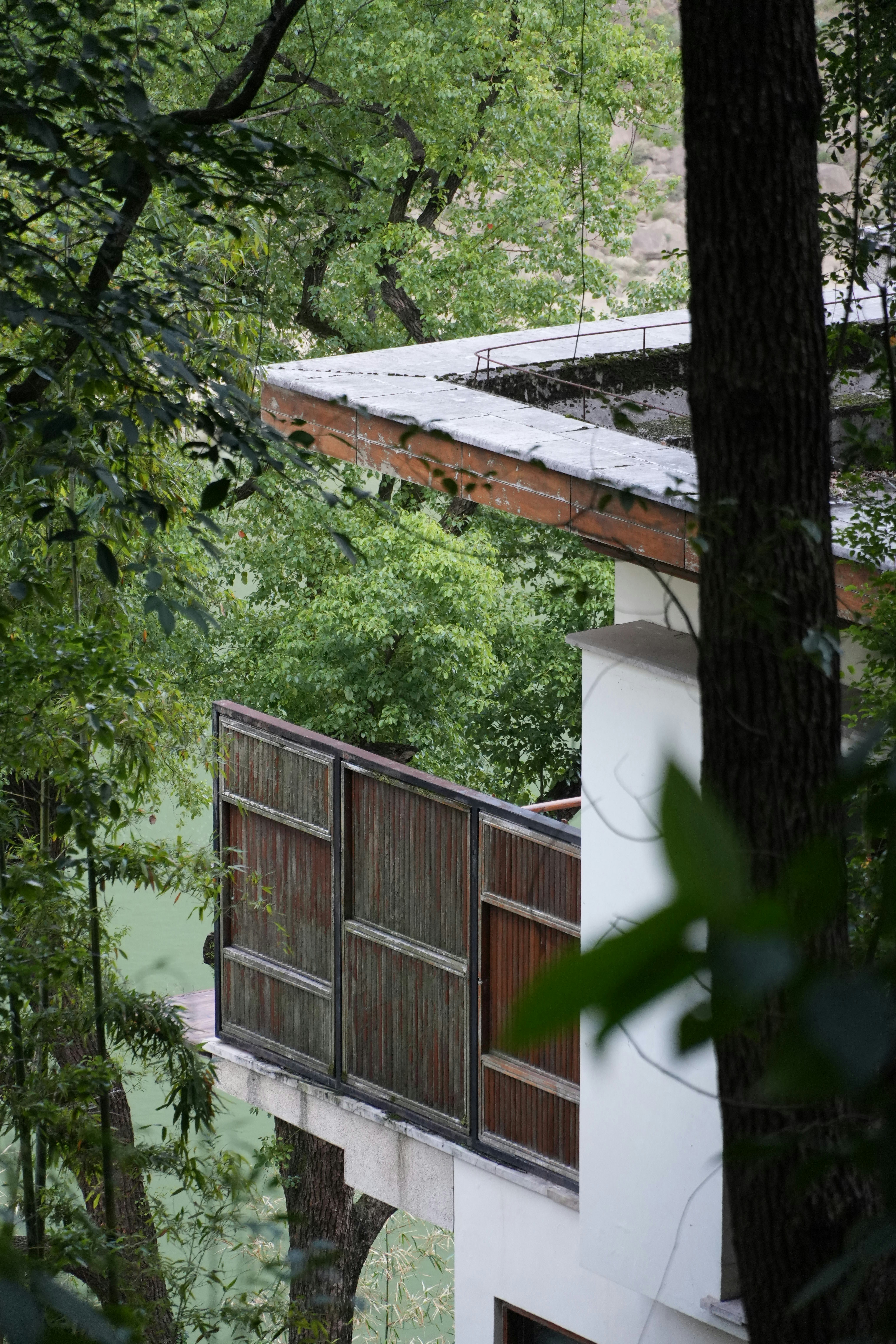 A house in the middle of a forest