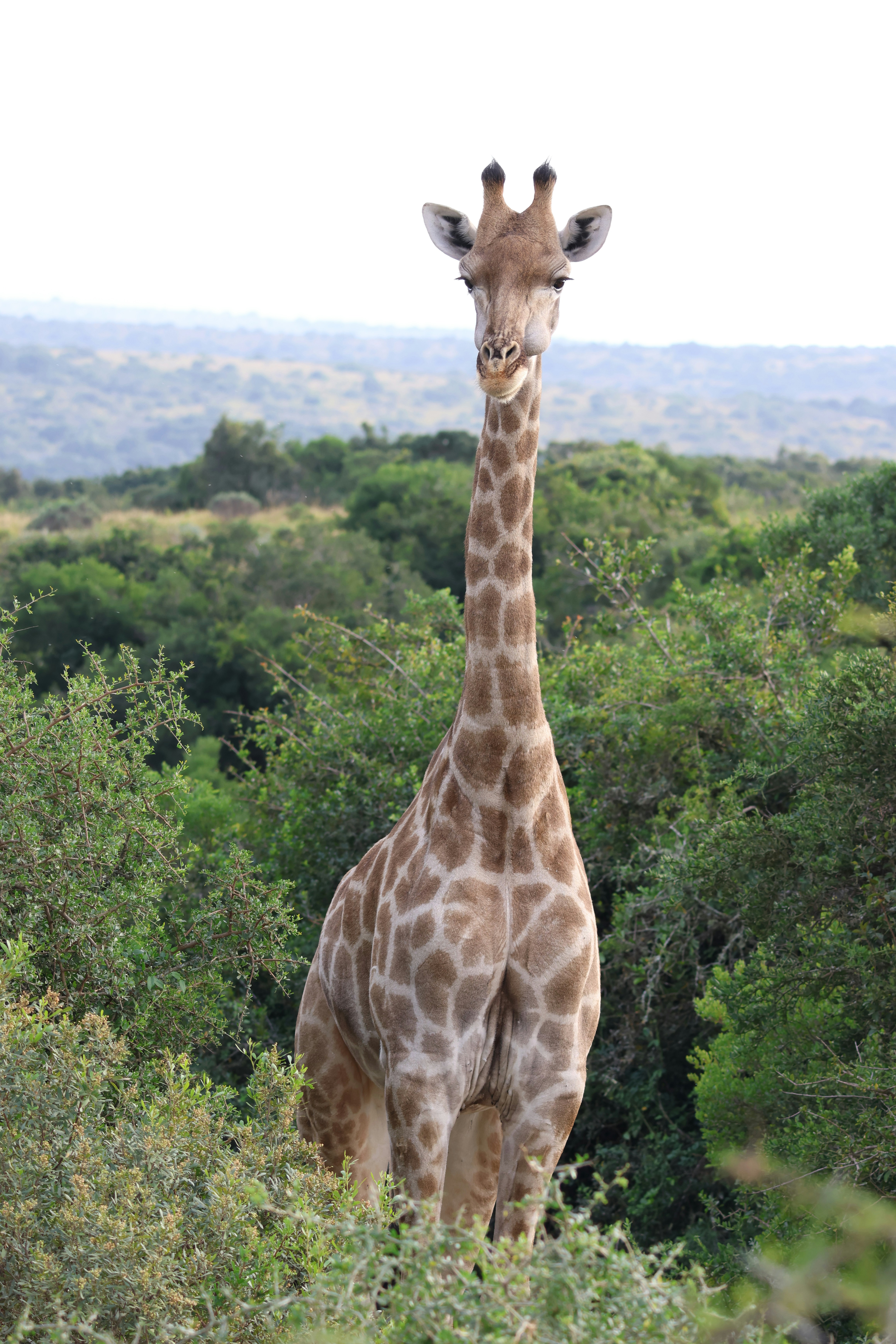 Photo by aryatulsyan